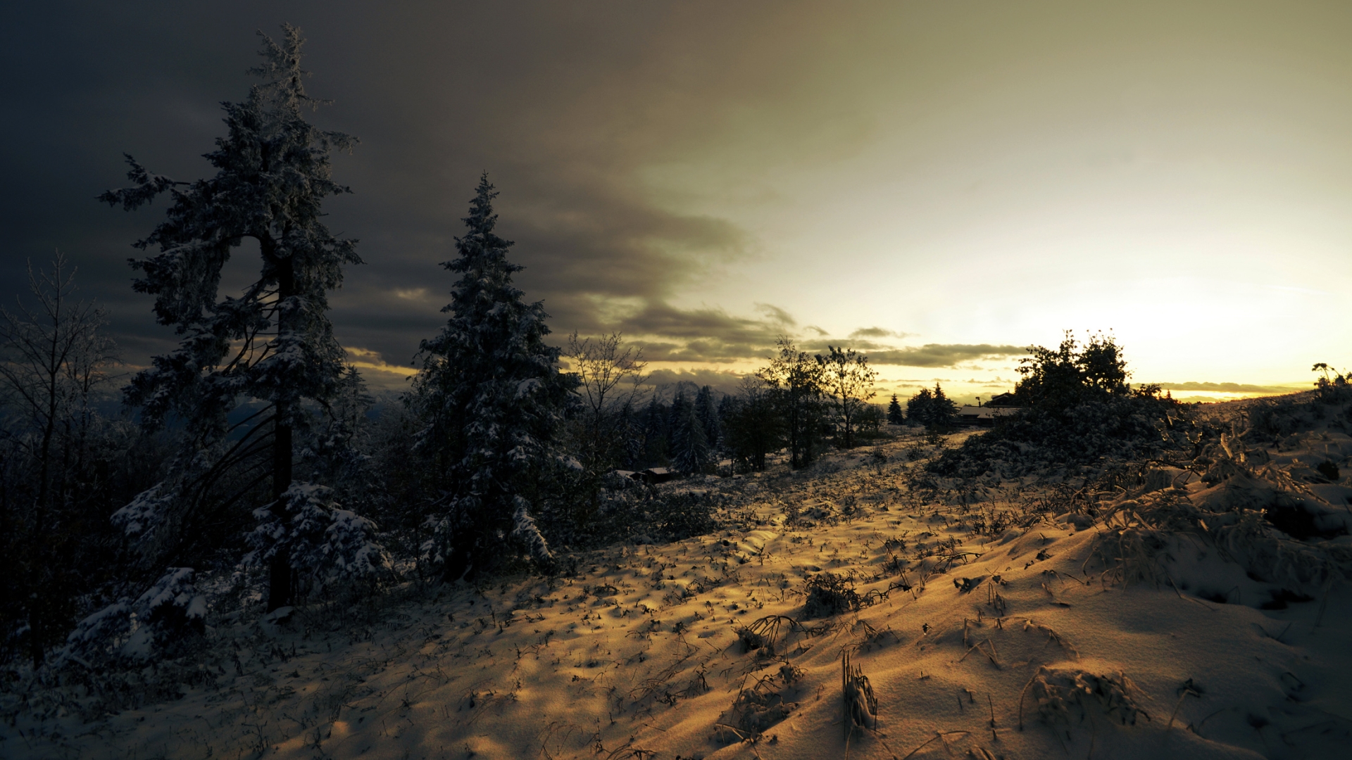 Laden Sie das Landschaft, Winter, Schnee, Wald, Sonnenaufgang, Szene, Jahreszeit, Sonnenuntergang, Erde/natur-Bild kostenlos auf Ihren PC-Desktop herunter