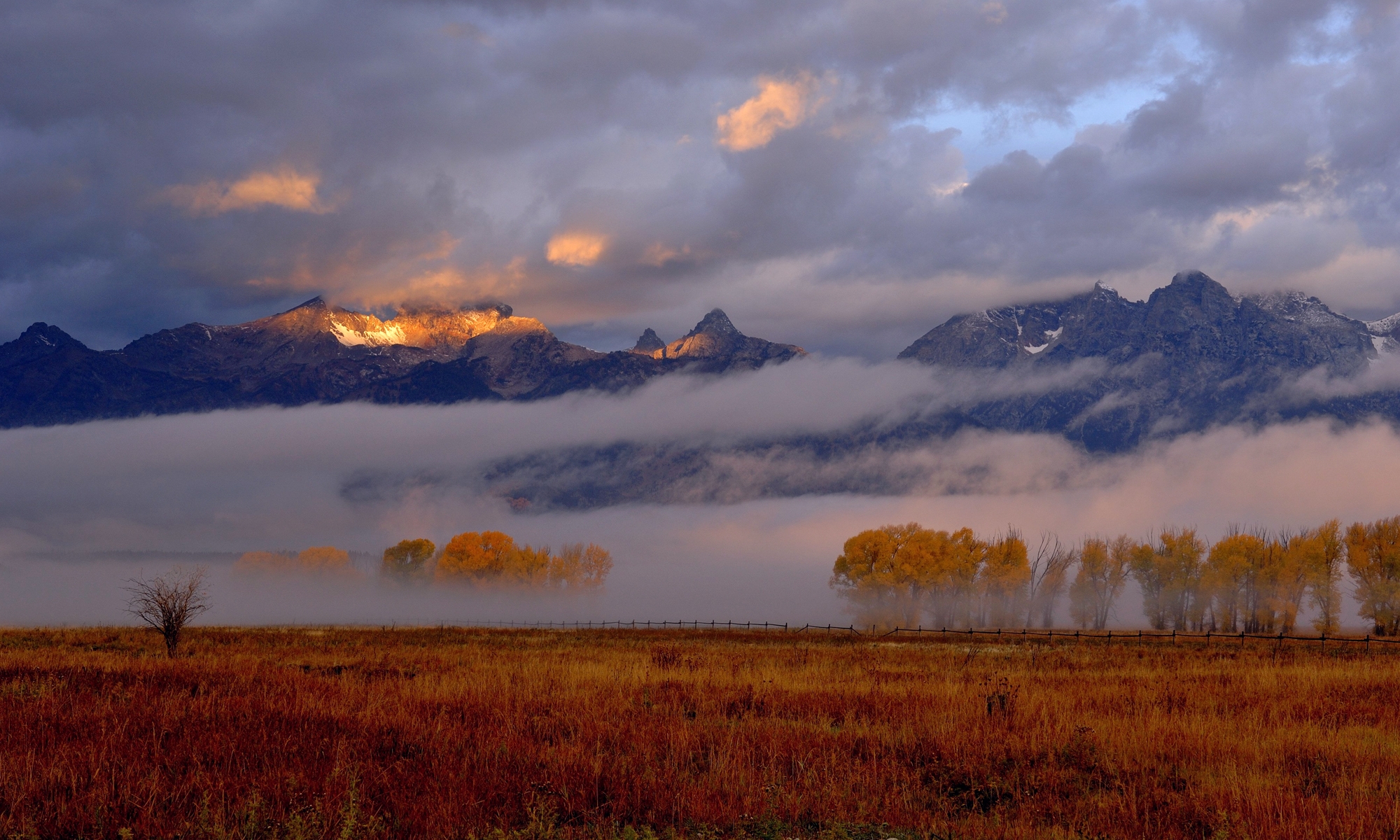 autumn, awakening, nature, mountains, fog, morning