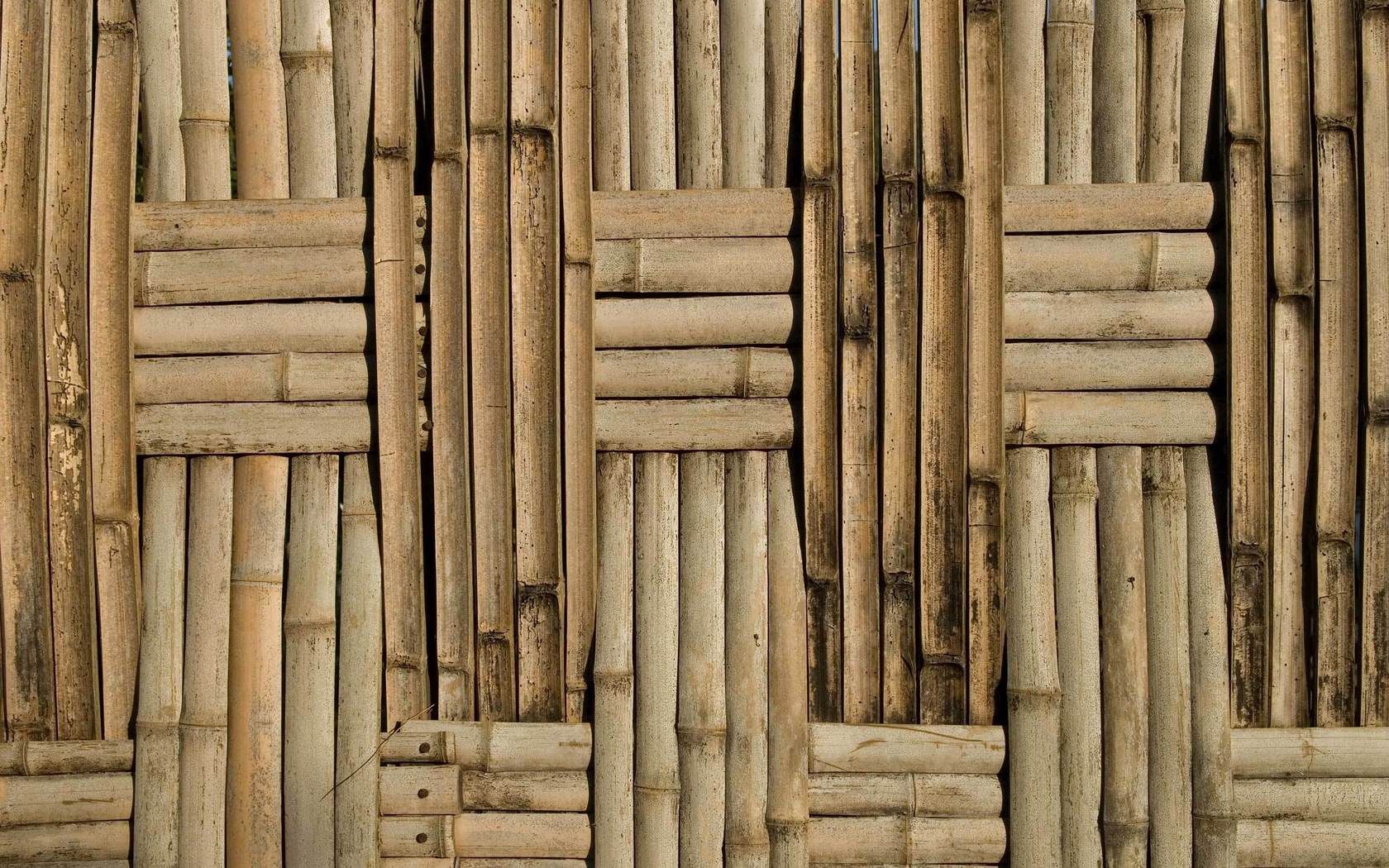 Download mobile wallpaper Board, Planks, Surface, Texture, Background, Bamboo, Textures for free.