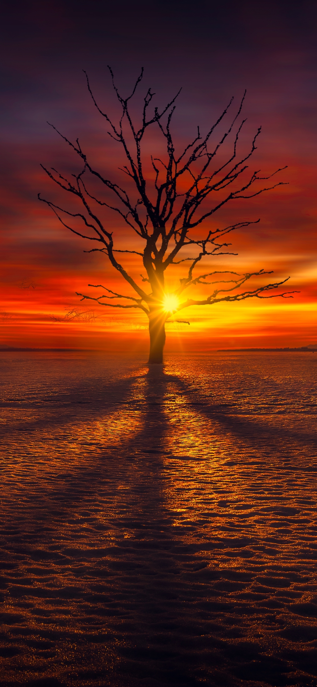 Download mobile wallpaper Winter, Nature, Trees, Sunset, Snow, Horizon, Tree, Earth, Lonely Tree for free.