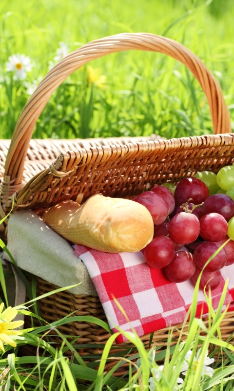Handy-Wallpaper Picknick, Nahrungsmittel kostenlos herunterladen.