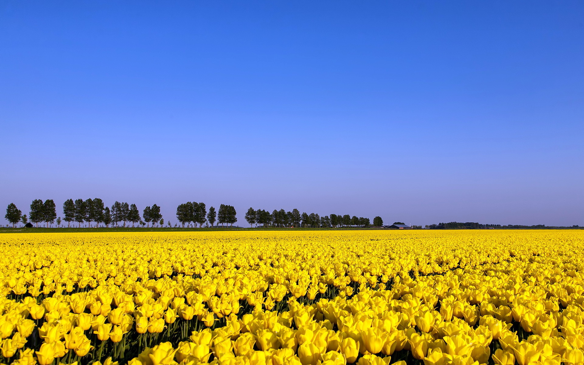 Handy-Wallpaper Erde/natur, Landschaft kostenlos herunterladen.