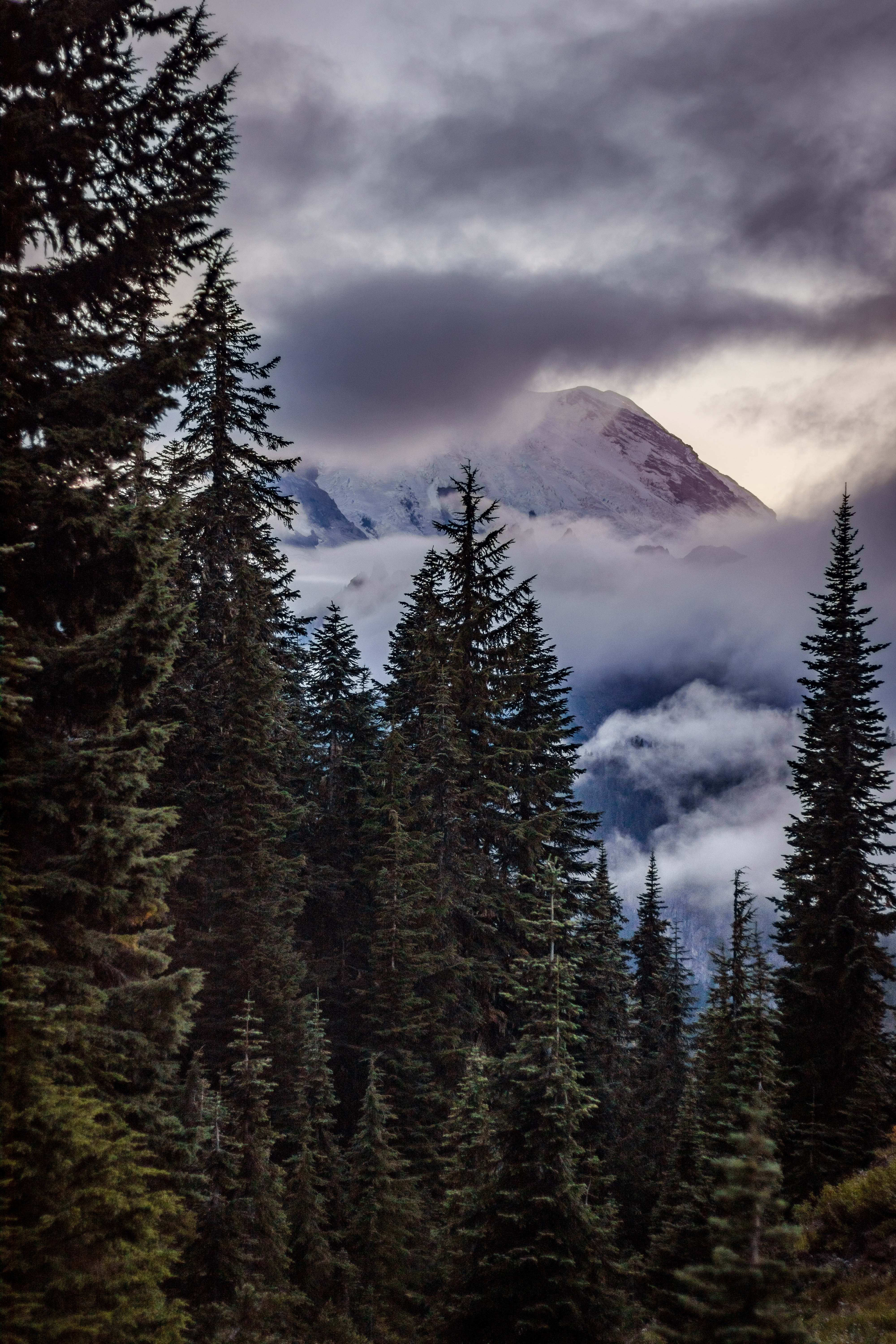 Free download wallpaper Fir, Sky, Spruce, Clouds, Nature, Trees, Mountains on your PC desktop