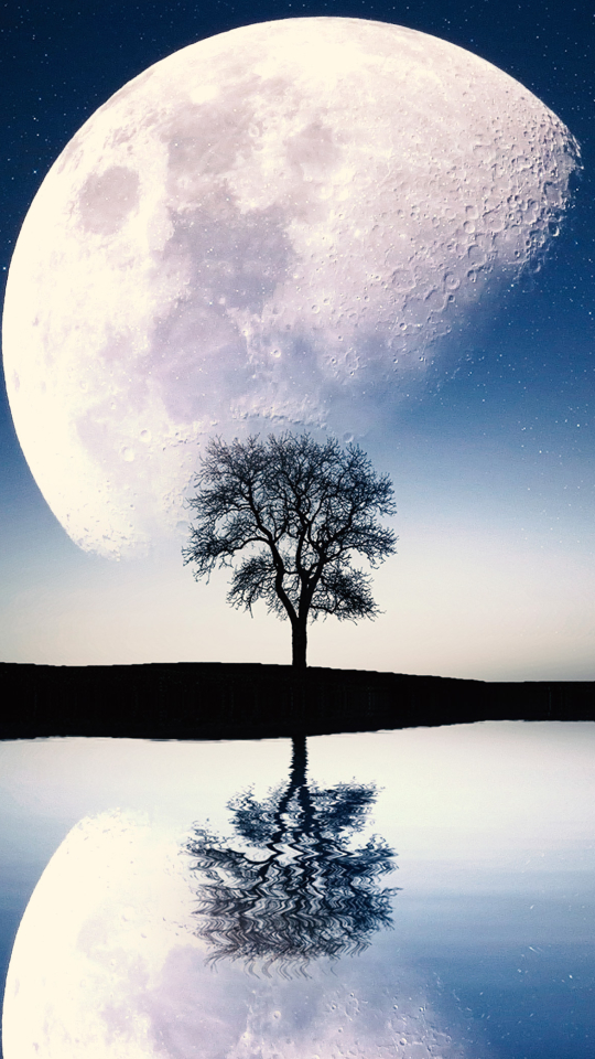 Handy-Wallpaper Mond, Erde/natur kostenlos herunterladen.