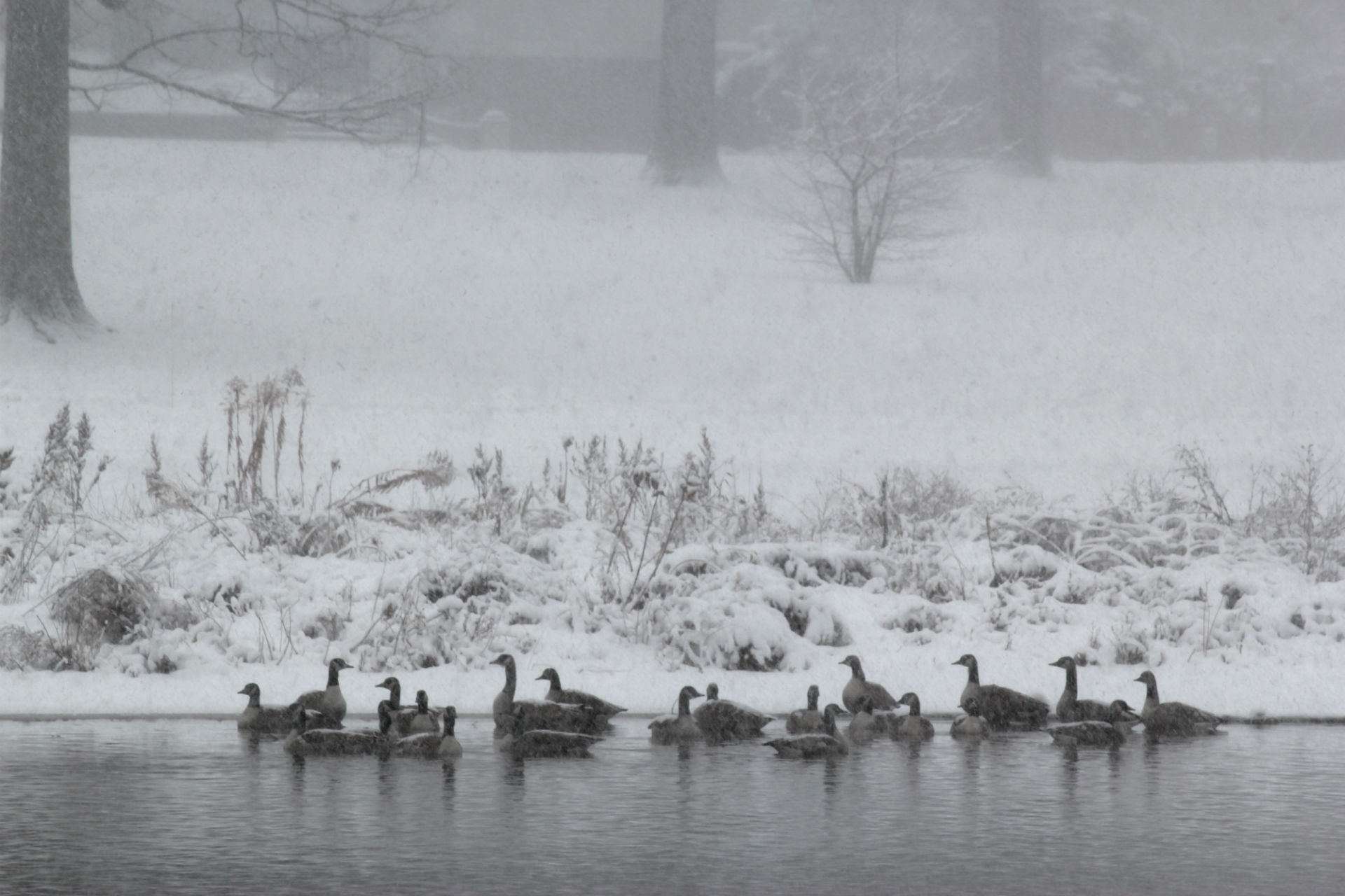 Laden Sie das Winter, Fotografie-Bild kostenlos auf Ihren PC-Desktop herunter