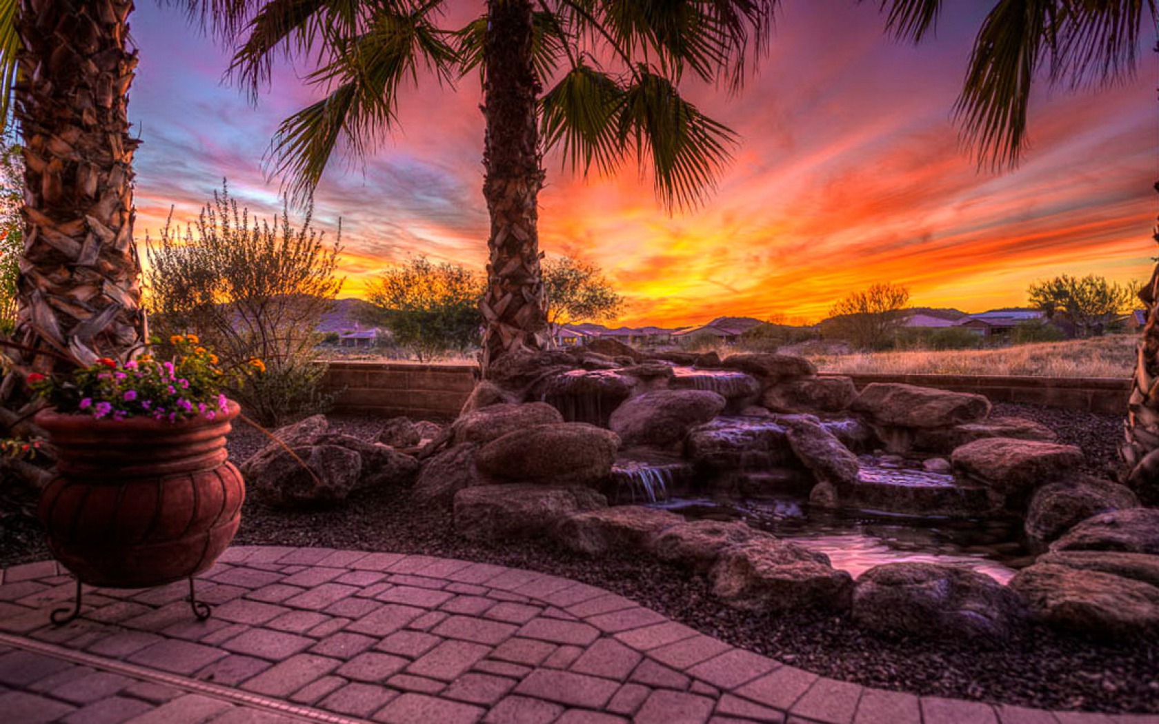 Laden Sie das Palme, Erde, Fotografie, Arizona, Sonnenuntergang-Bild kostenlos auf Ihren PC-Desktop herunter