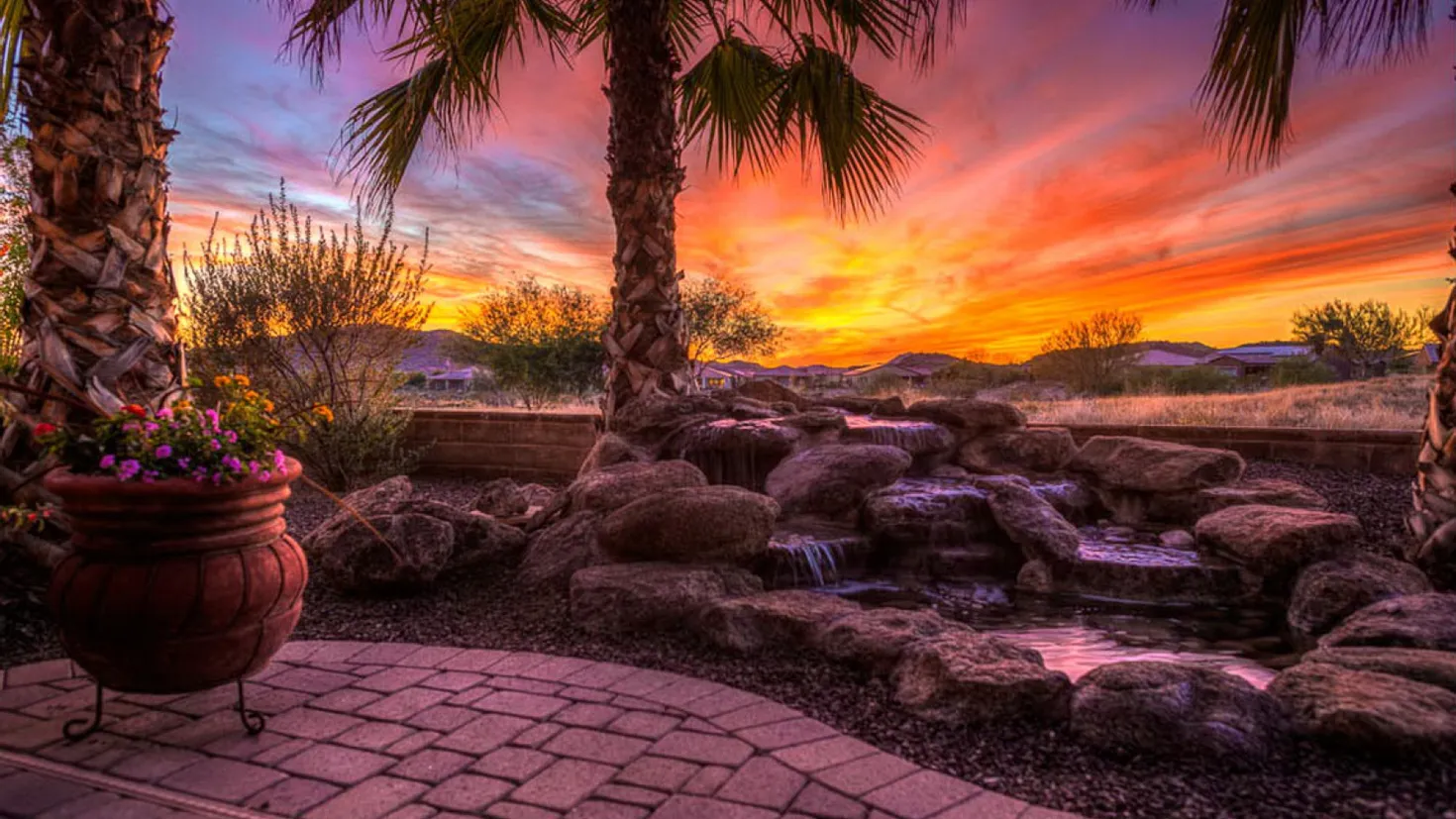 Desktop wallpaper: Arizona, Photography, Sunset, Earth, Palm Tree 4K ...