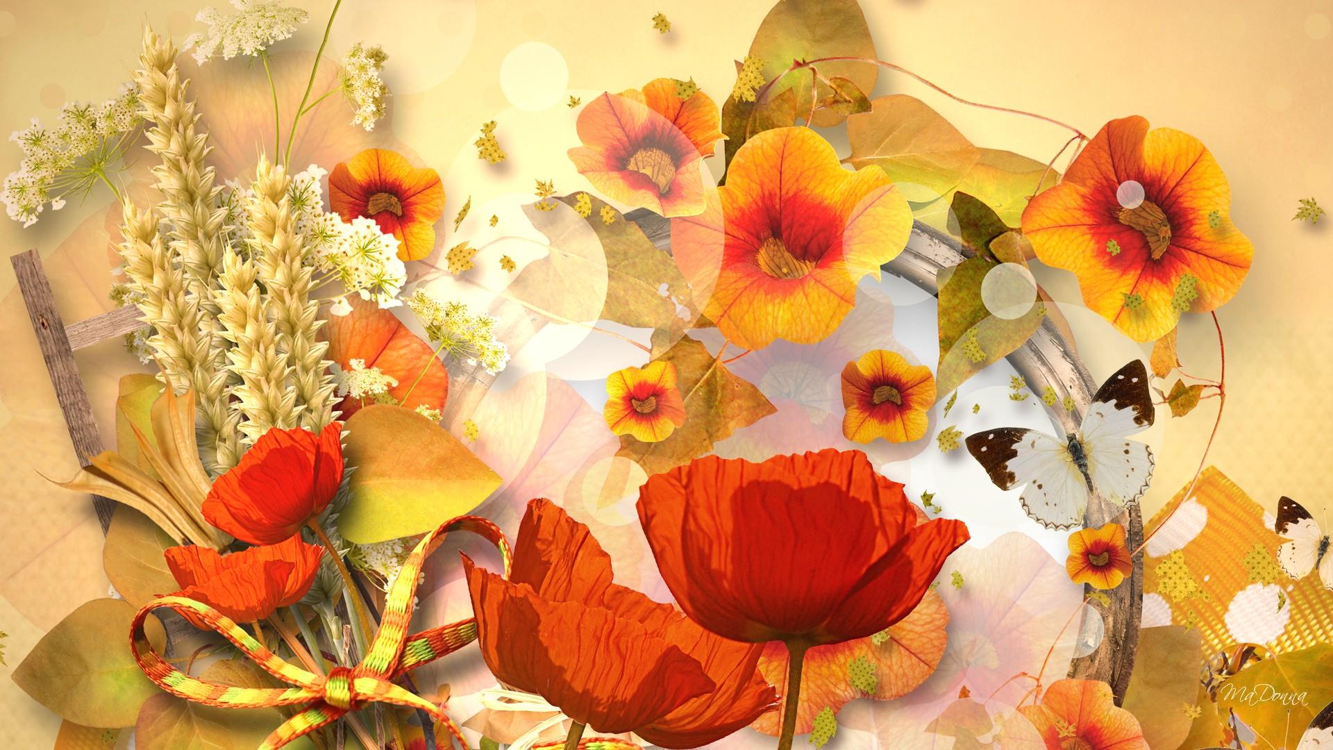 Free download wallpaper Flower, Fall, Butterfly, Colorful, Artistic, Poppy on your PC desktop