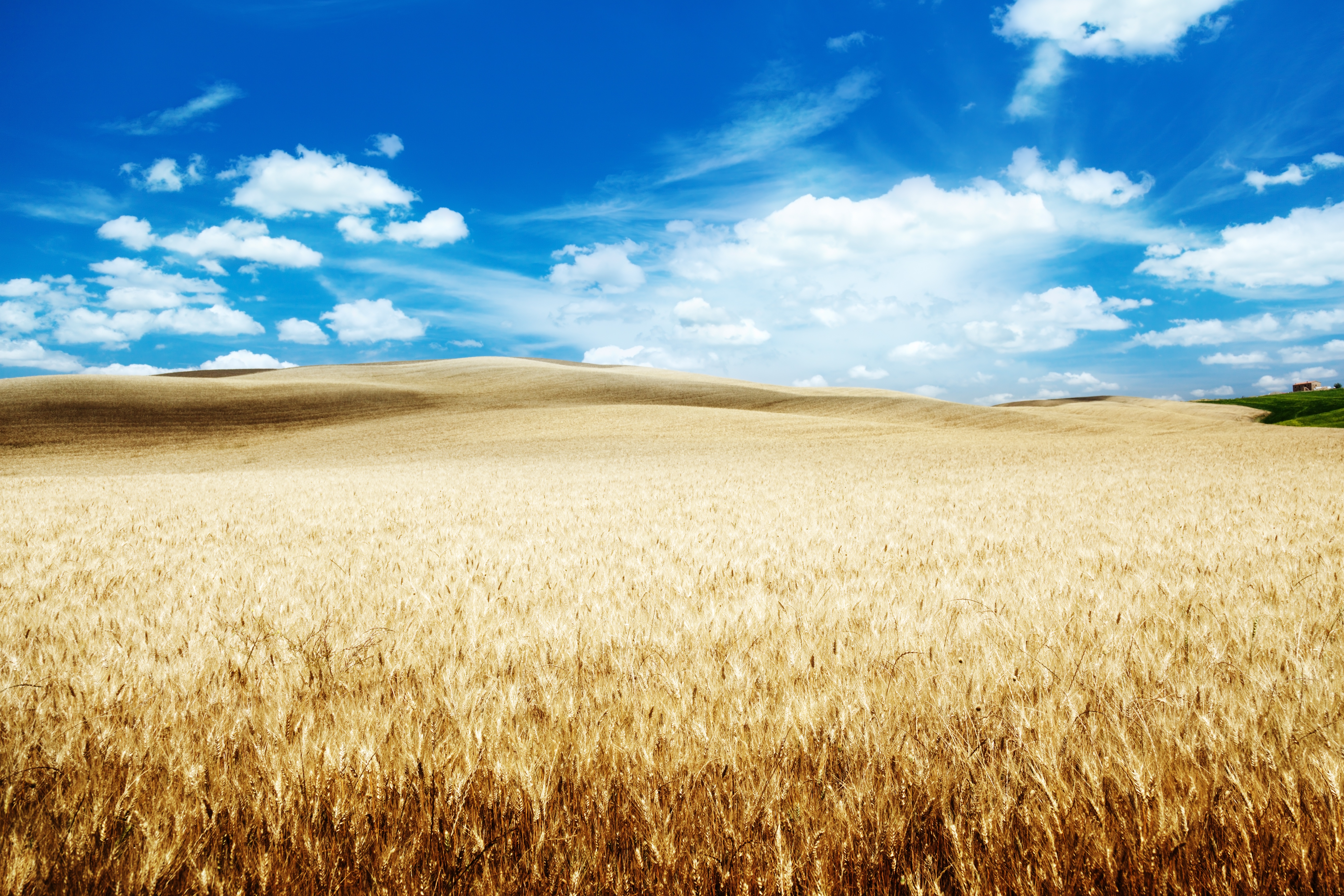 Free download wallpaper Nature, Sky, Summer, Wheat, Earth, Field, Hill, Cloud on your PC desktop