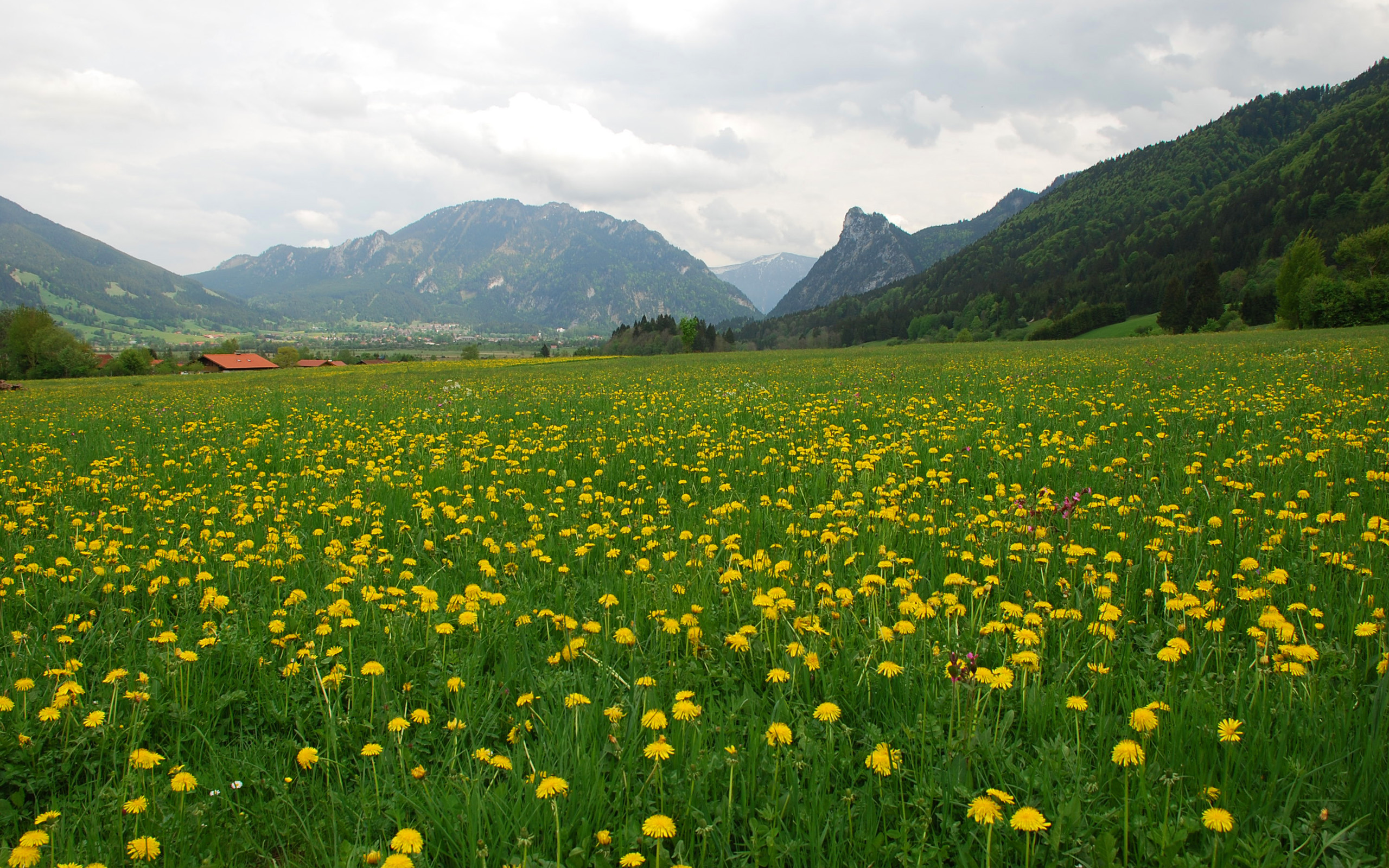 Handy-Wallpaper Landschaft, Fotografie kostenlos herunterladen.