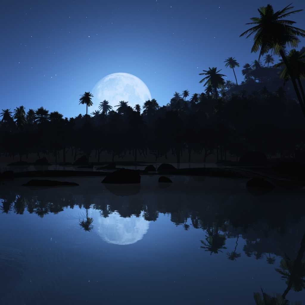 Download mobile wallpaper Night, Beach, Shore, Earth, Tropical, Palm Tree for free.