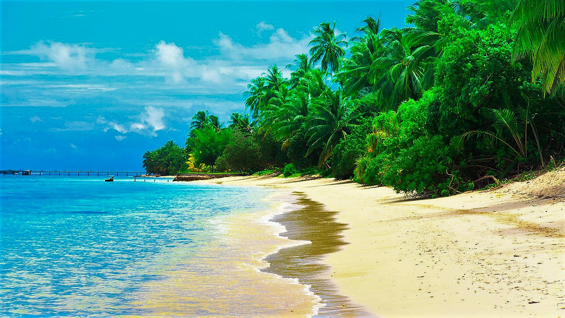 Free download wallpaper Sea, Beach, Ocean, Earth, Tropical, Maldives, Palm Tree on your PC desktop