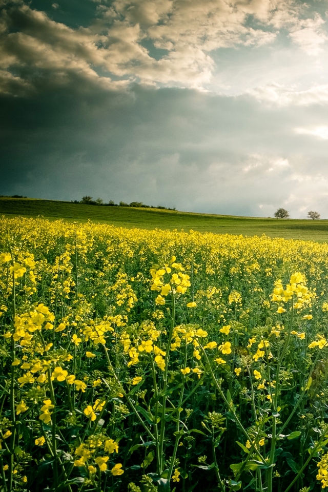 Handy-Wallpaper Landschaft, Erde/natur kostenlos herunterladen.