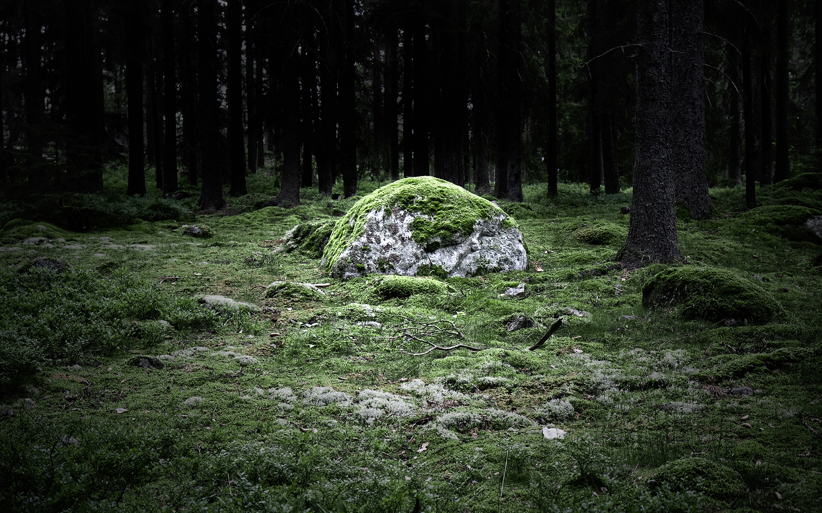 Baixe gratuitamente a imagem Pedra, Floresta, Terra/natureza, Blocksberg na área de trabalho do seu PC