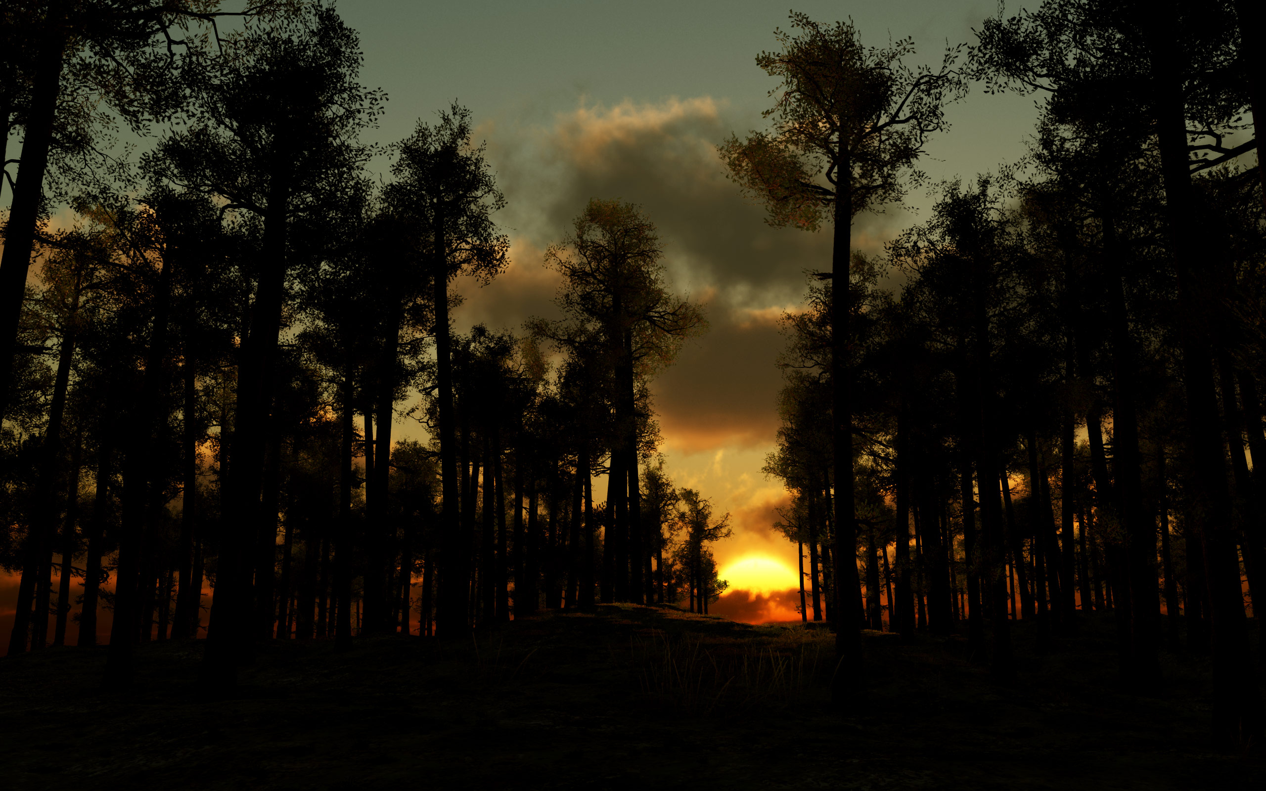 Descarga gratuita de fondo de pantalla para móvil de Noche, Silueta, Bosque, Árbol, Atardecer, Tierra/naturaleza.