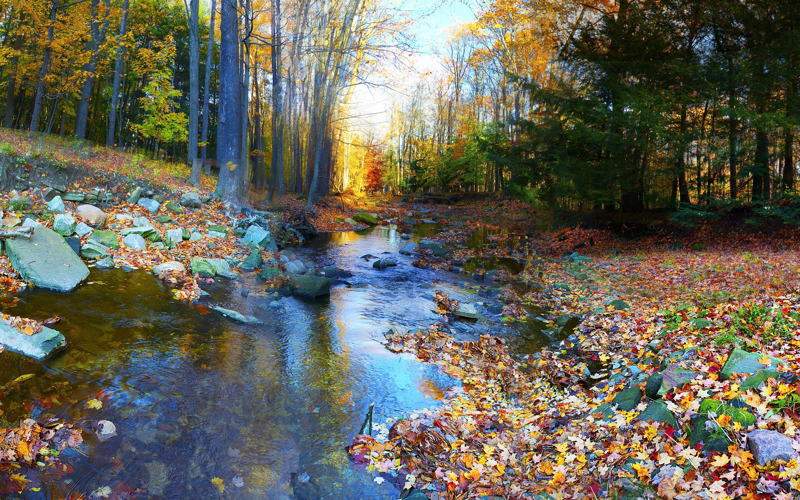 Téléchargez gratuitement l'image Terre/nature, Rivière sur le bureau de votre PC