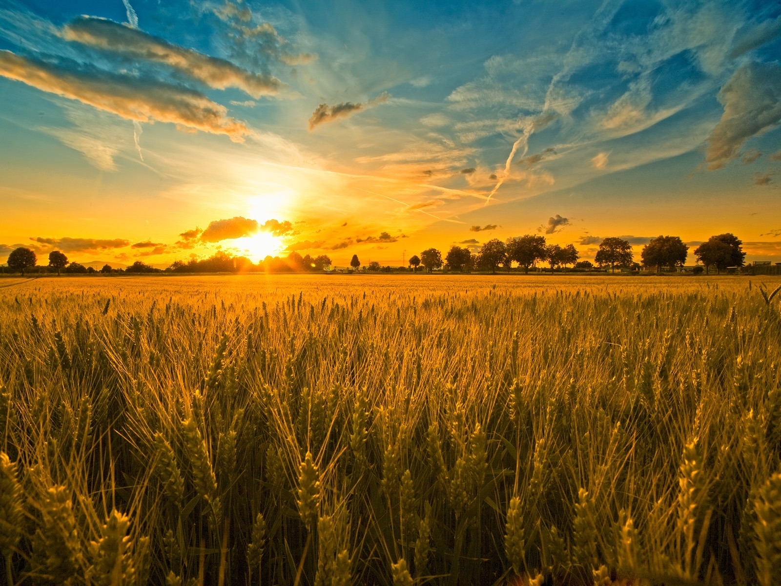 9693 скачать картинку пшеница, поля, пейзаж, закат, небо, солнце - обои и заставки бесплатно