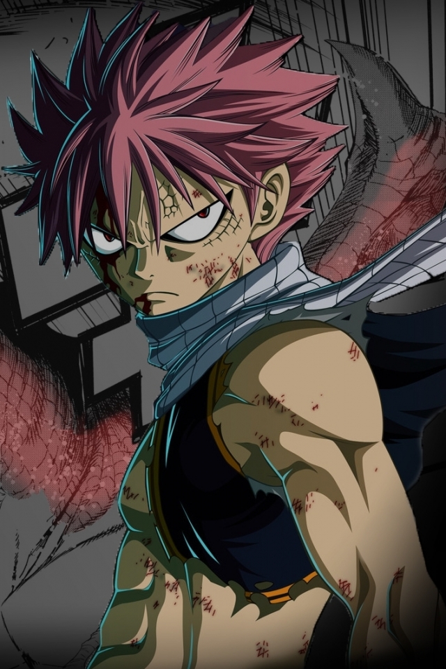 Download mobile wallpaper Anime, Dragon, Fairy Tail, Natsu Dragneel, Igneel (Fairy Tail) for free.