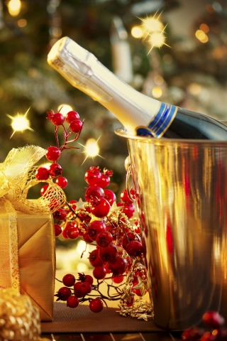 Скачать картинку Новый Год, Подарок, Шампанское, Подарки, Праздничные в телефон бесплатно.