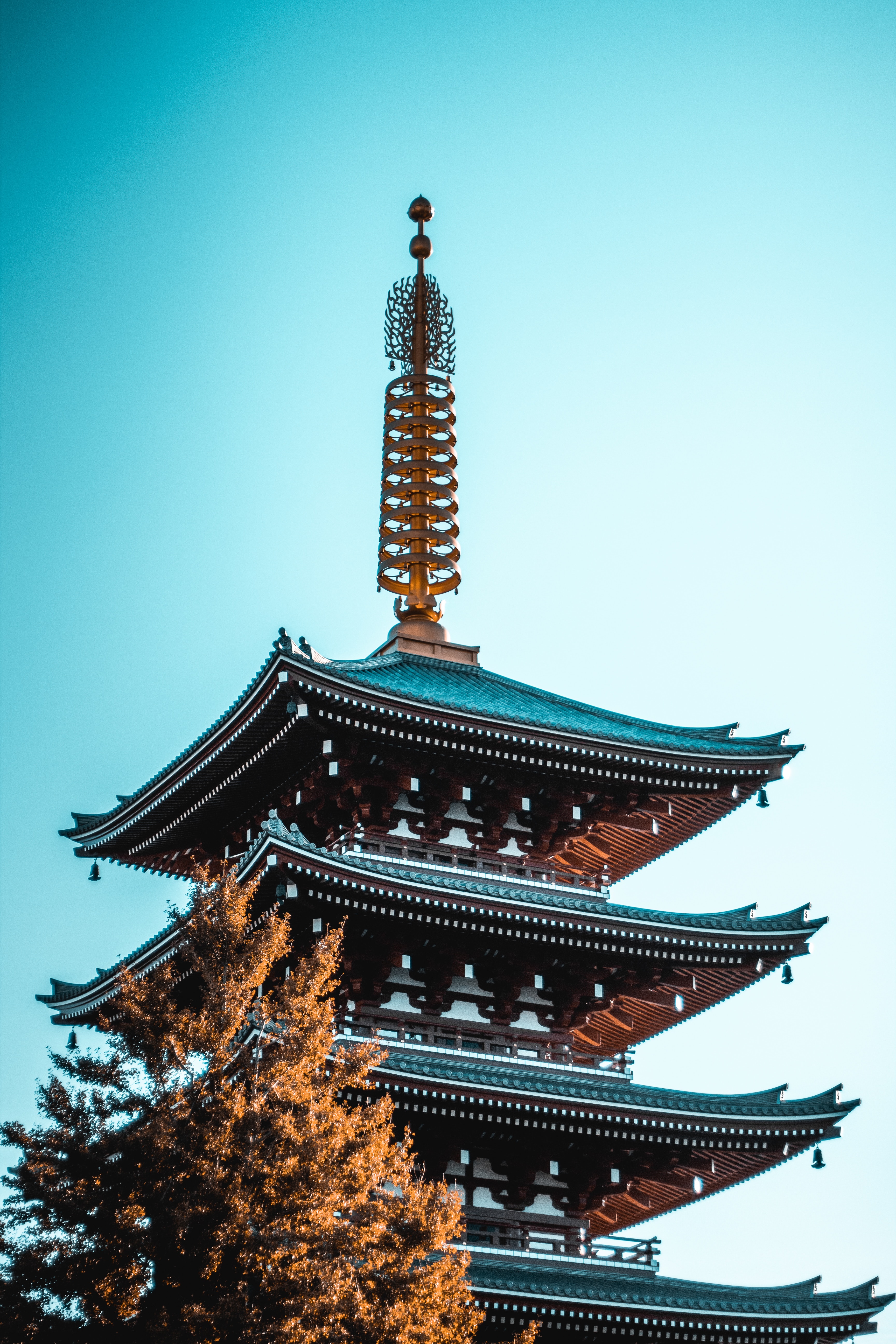pagoda, cities, architecture, building, wood, tree