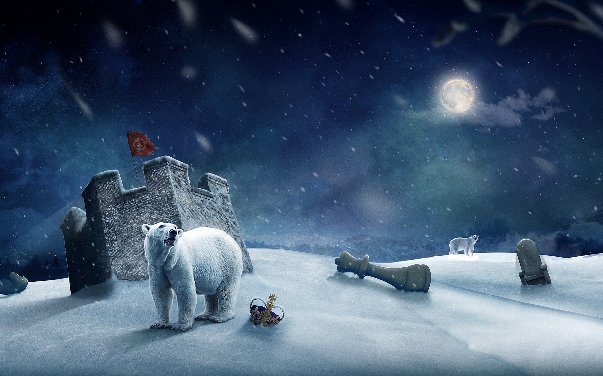 Laden Sie das Bären, Eisbär, Tiere-Bild kostenlos auf Ihren PC-Desktop herunter