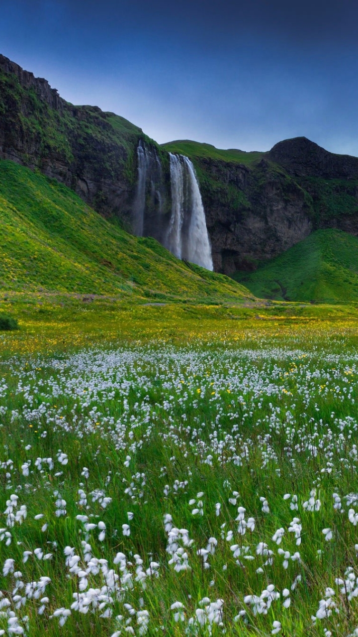 Download mobile wallpaper Waterfalls, Mountain, Flower, Waterfall, Earth, Field, Iceland, Seljalandsfoss for free.
