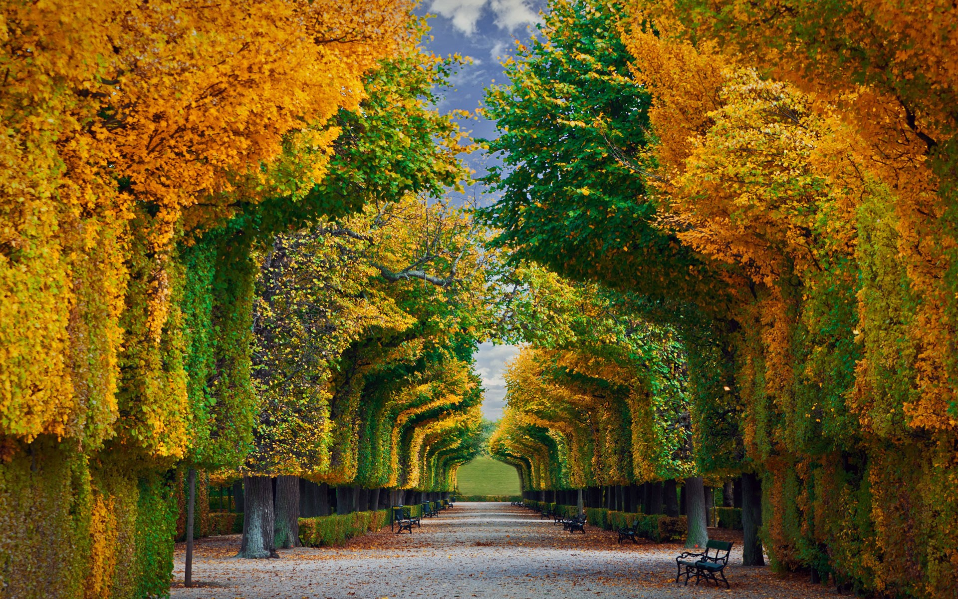 786080 baixar papel de parede feito pelo homem, jardim, áustria, outono, jardins do palácio de schonbrunn, árvore, viena - protetores de tela e imagens gratuitamente
