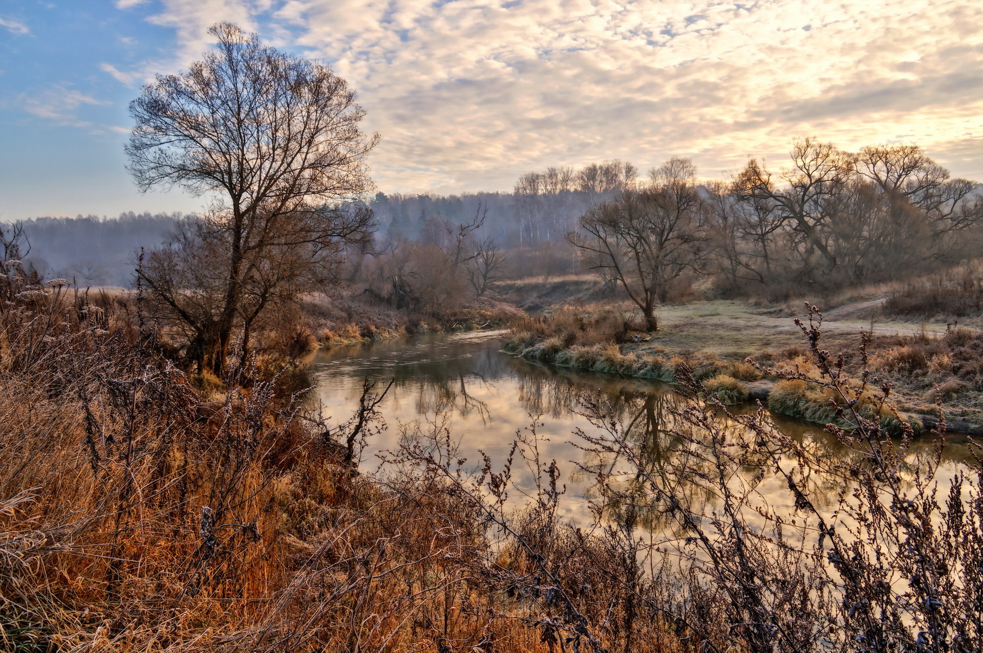 Скачать обои бесплатно Река, Дерево, Hdr, Земля/природа картинка на рабочий стол ПК