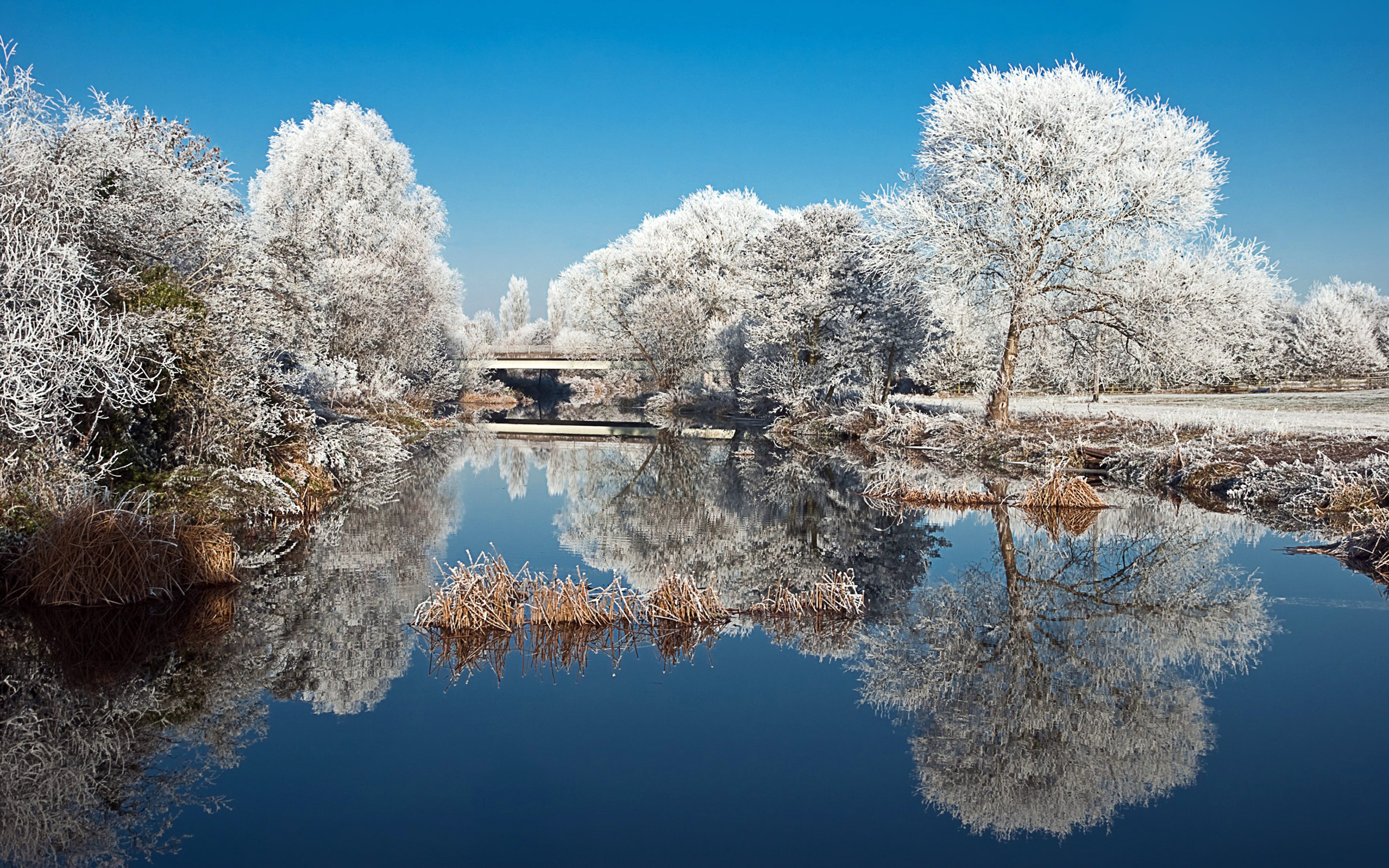 Descarga gratis la imagen Tierra/naturaleza, Reflejo en el escritorio de tu PC