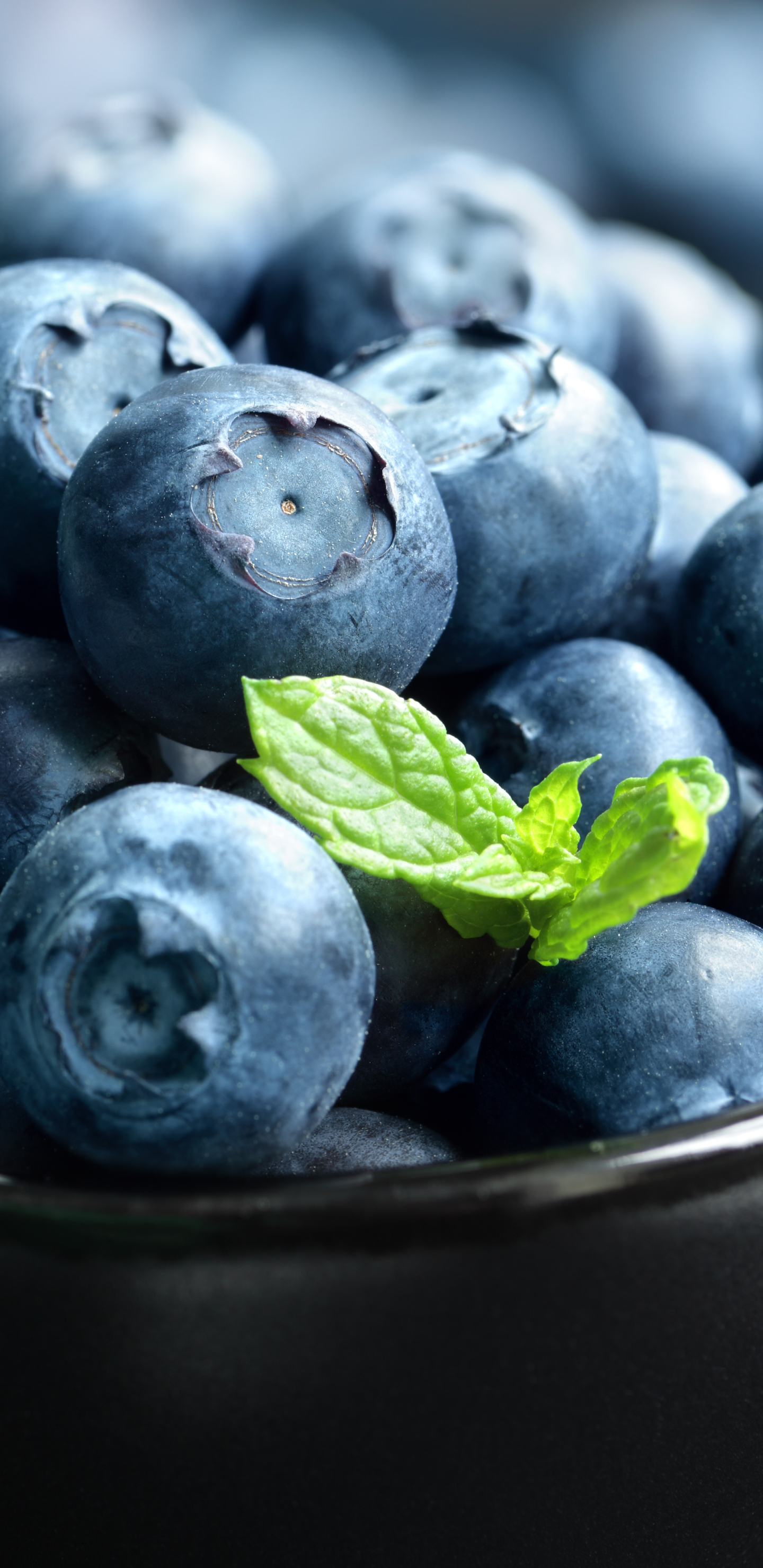 Download mobile wallpaper Food, Blueberry, Berry for free.