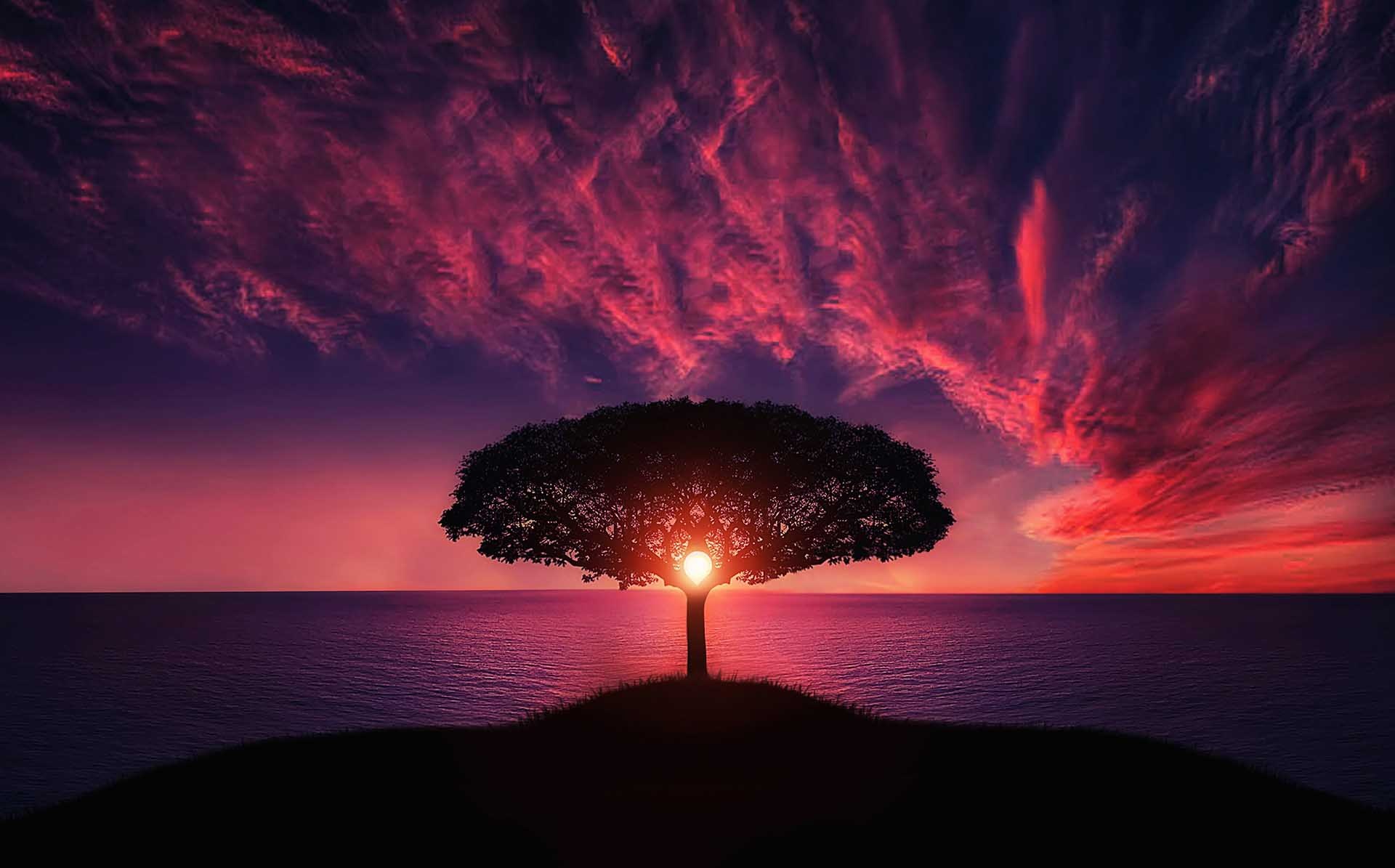 Laden Sie das Bäume, Baum, Ozean, Farben, Abend, Wolke, Himmel, Sonnenuntergang, Sonne, Erde/natur, Einsamer Baum-Bild kostenlos auf Ihren PC-Desktop herunter