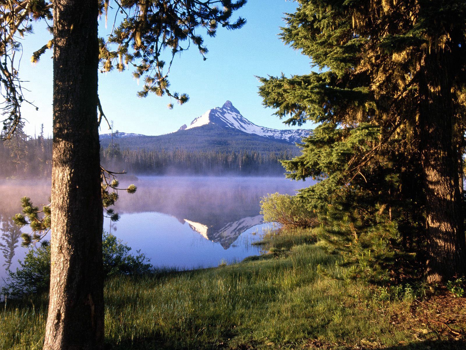 91201 завантажити шпалери природа, гора, озеро, відображення, ліс, дерево, туман, стовбур, випаровування - заставки і картинки безкоштовно