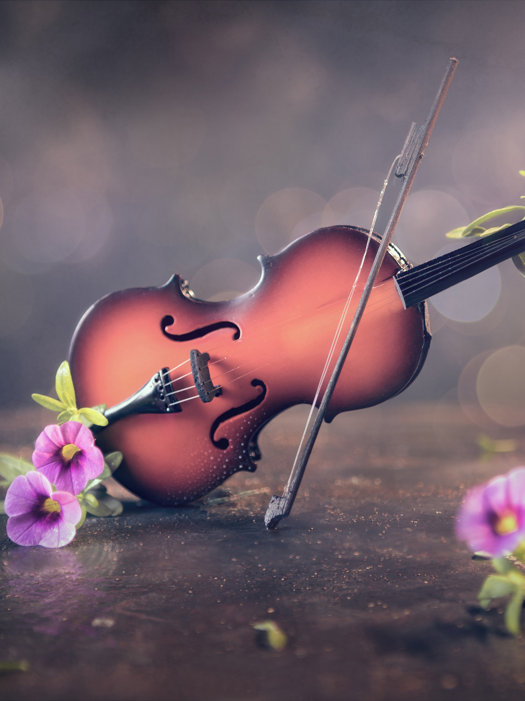無料モバイル壁紙音楽, バイオリン, 花, 楽器をダウンロードします。