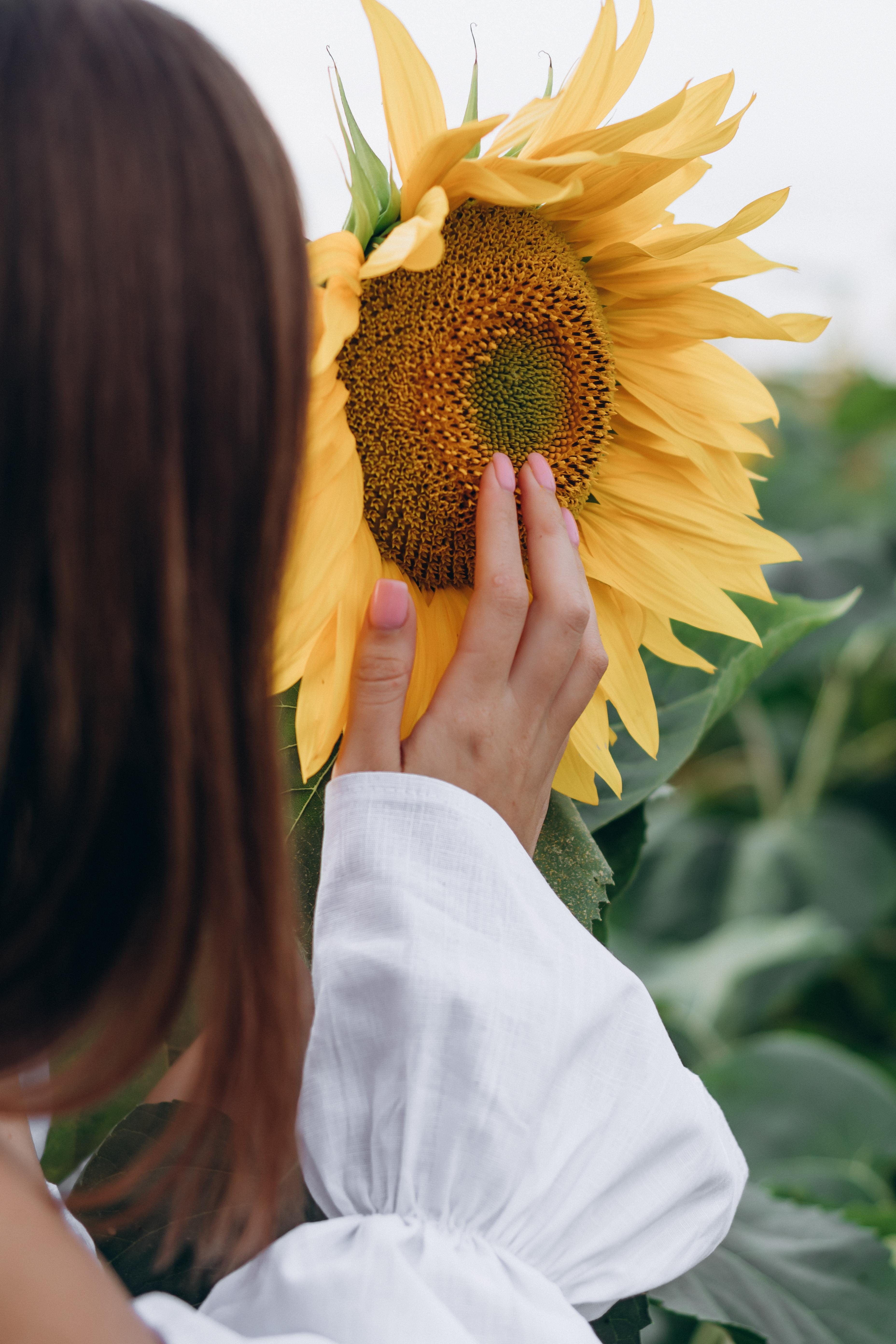 Download mobile wallpaper Flower, Miscellaneous, Hand, Miscellanea, Sunflower, Girl for free.