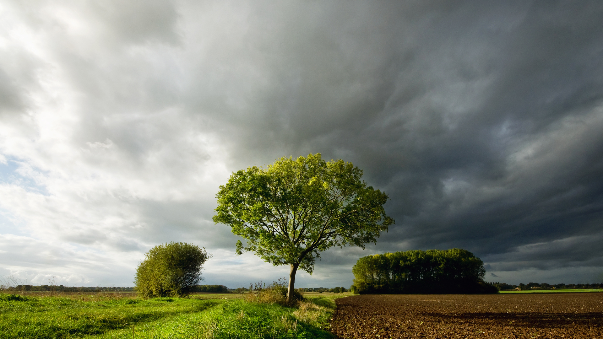 Download mobile wallpaper Clouds, Sky, Trees, Landscape, Fields for free.