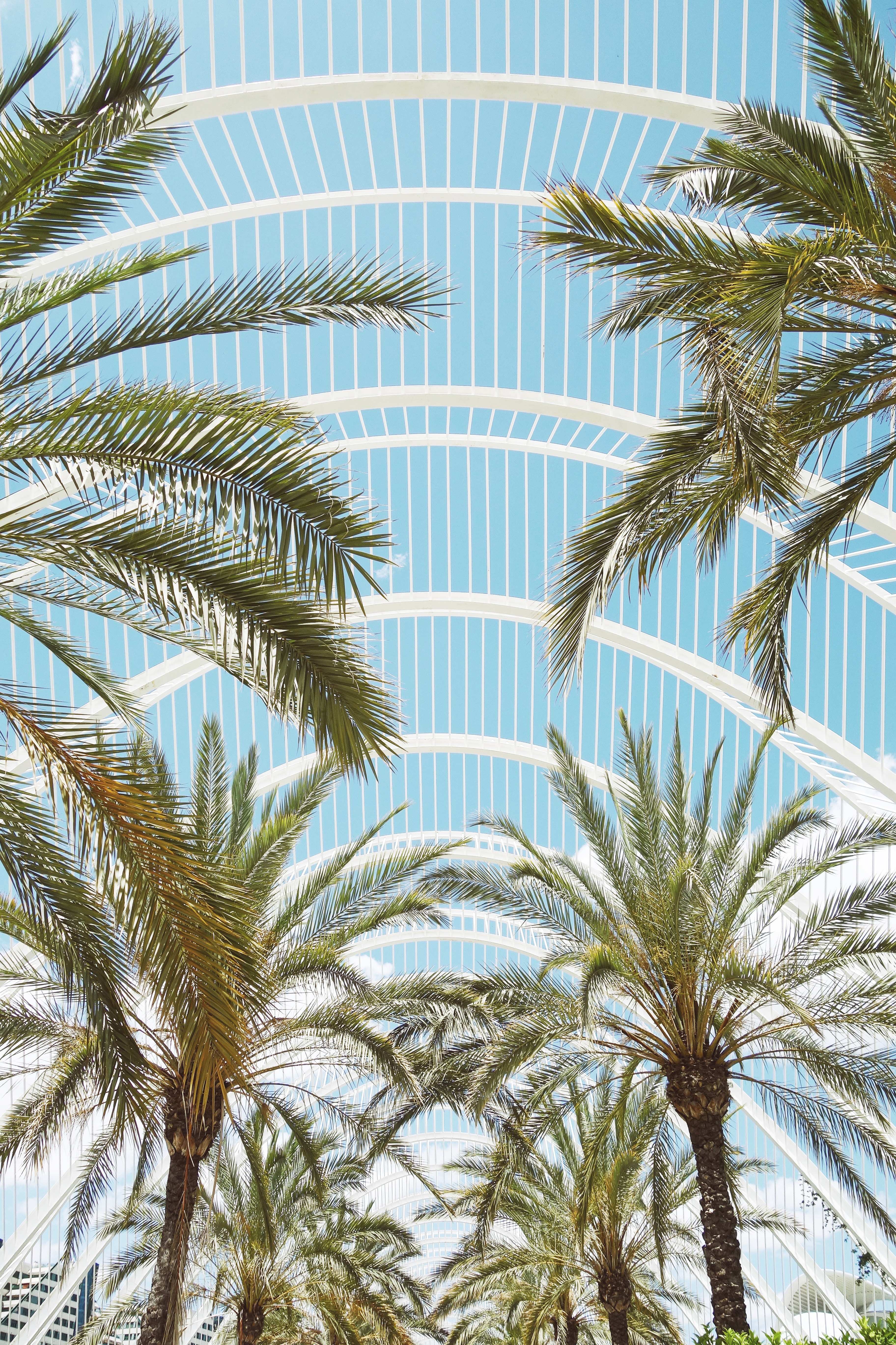 Download mobile wallpaper Branches, Palms, Roof, Nature, Architecture for free.