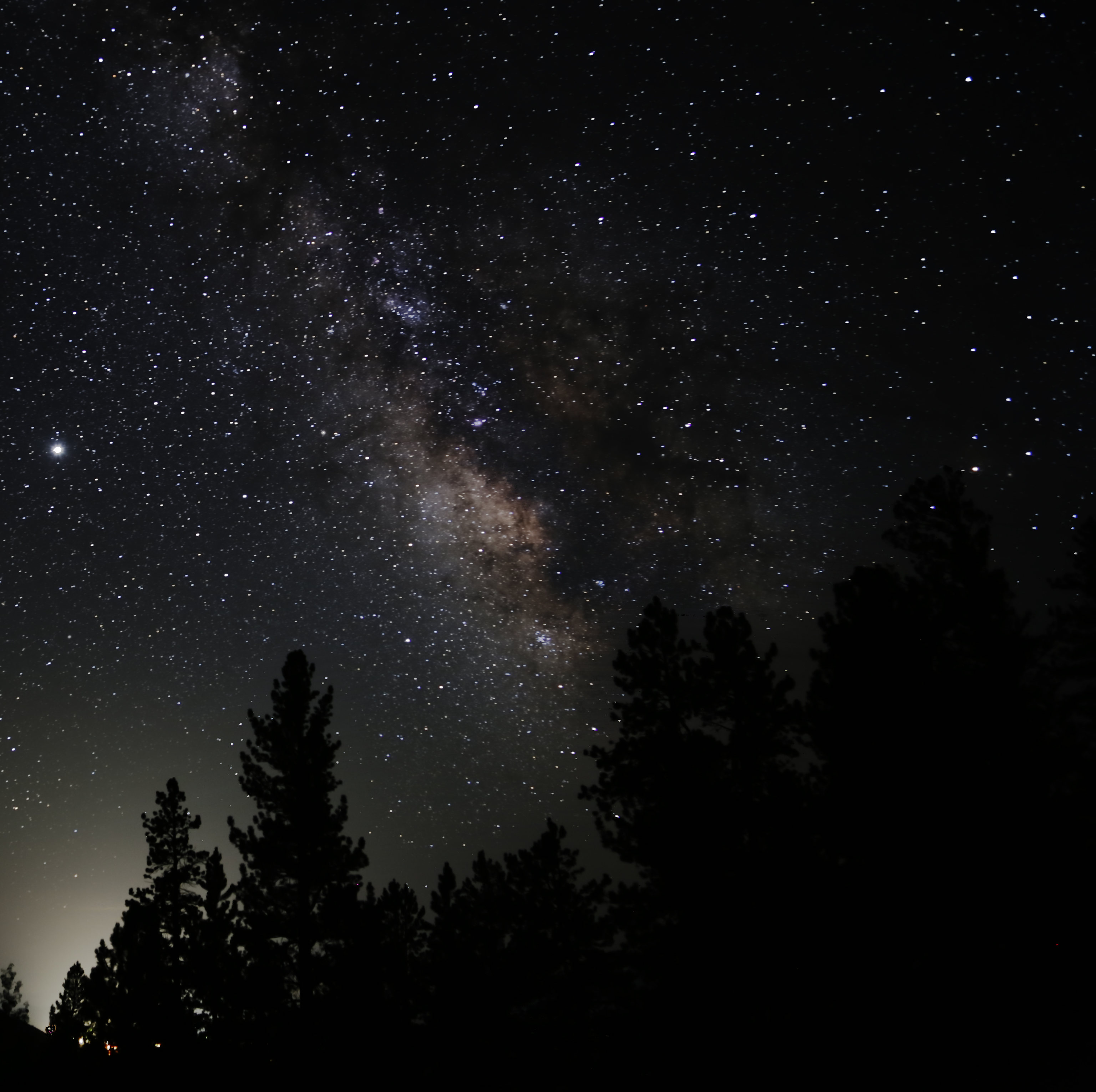 Descarga gratuita de fondo de pantalla para móvil de Naturaleza, Árboles, Cielo Estrellado, Estrellas, Nebulosa.
