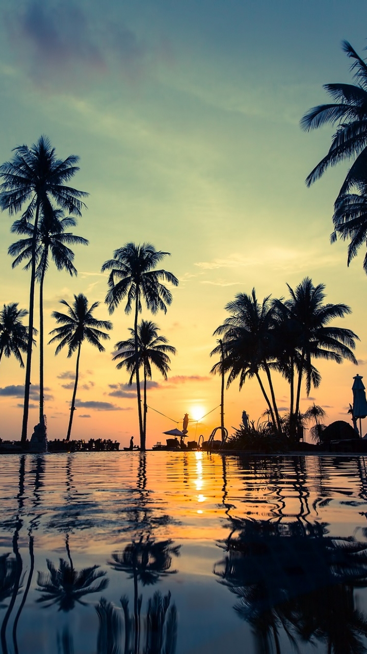 Download mobile wallpaper Water, Sunset, Reflection, Photography, Palm Tree for free.