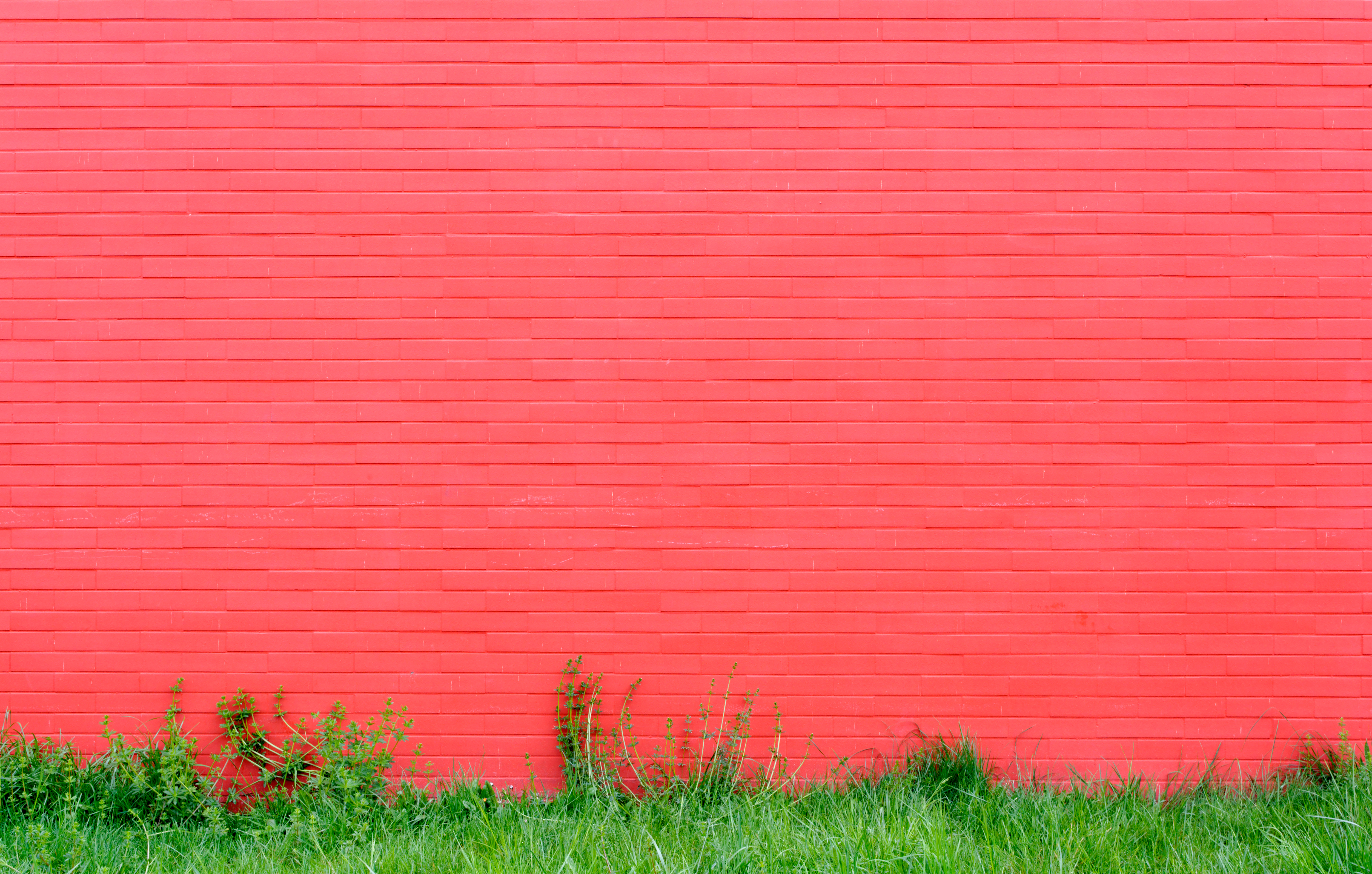 Free download wallpaper Grass, Pink, Miscellanea, Miscellaneous, Wall, Bricks on your PC desktop