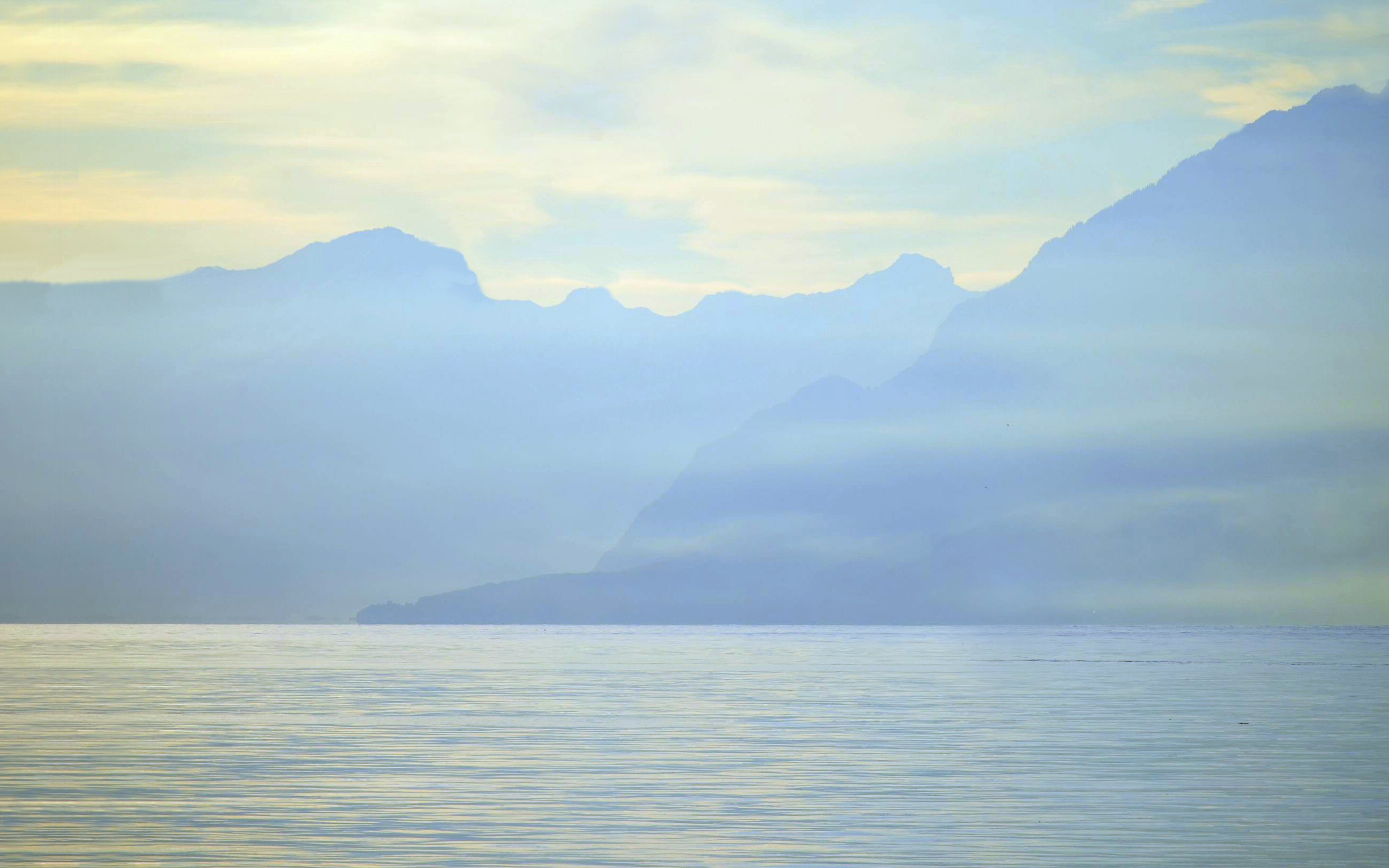 Laden Sie das Natur, See, Nebel, Szene, Erde/natur-Bild kostenlos auf Ihren PC-Desktop herunter