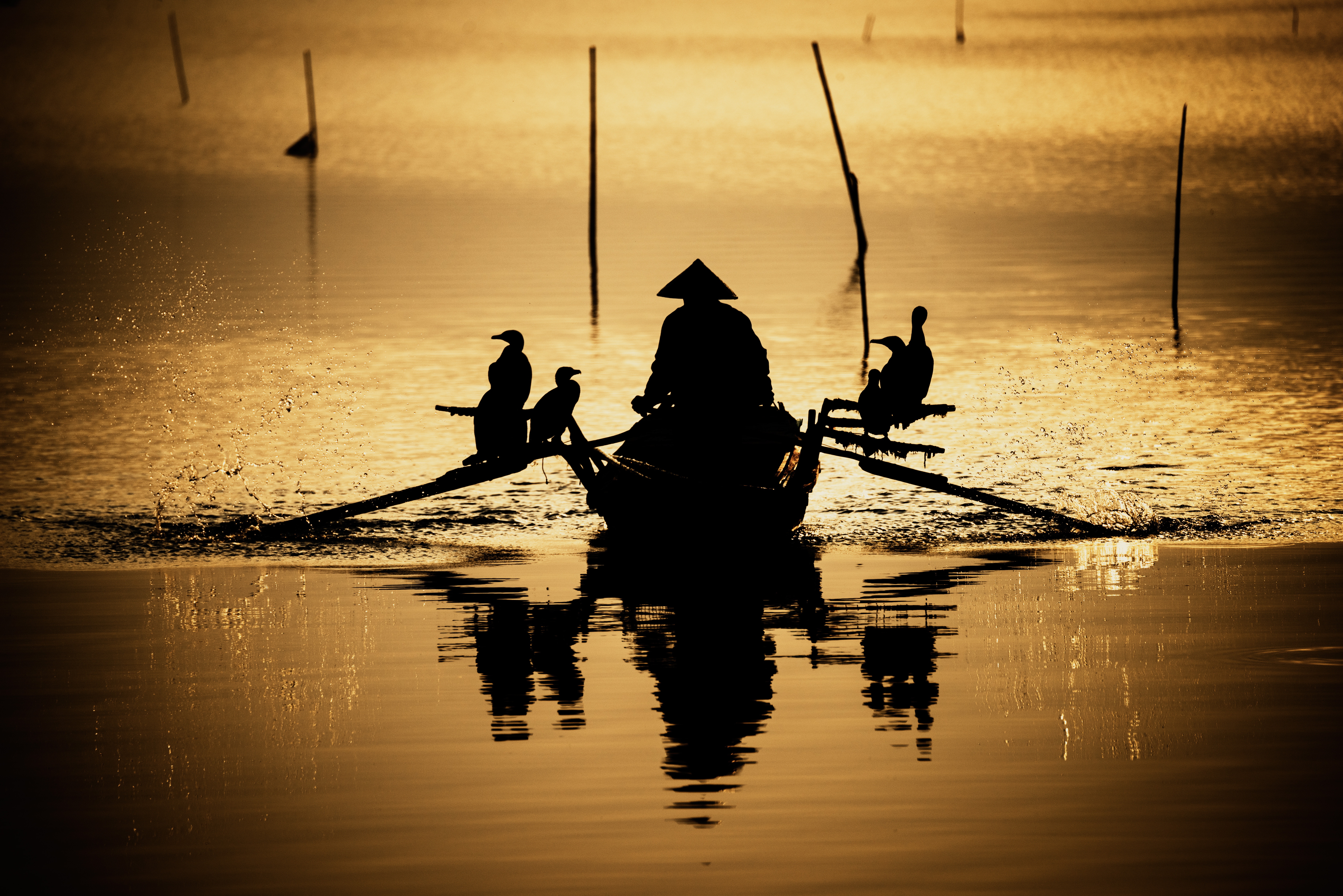 birds, rivers, reflection, dark, silhouette, boat, oars, paddles