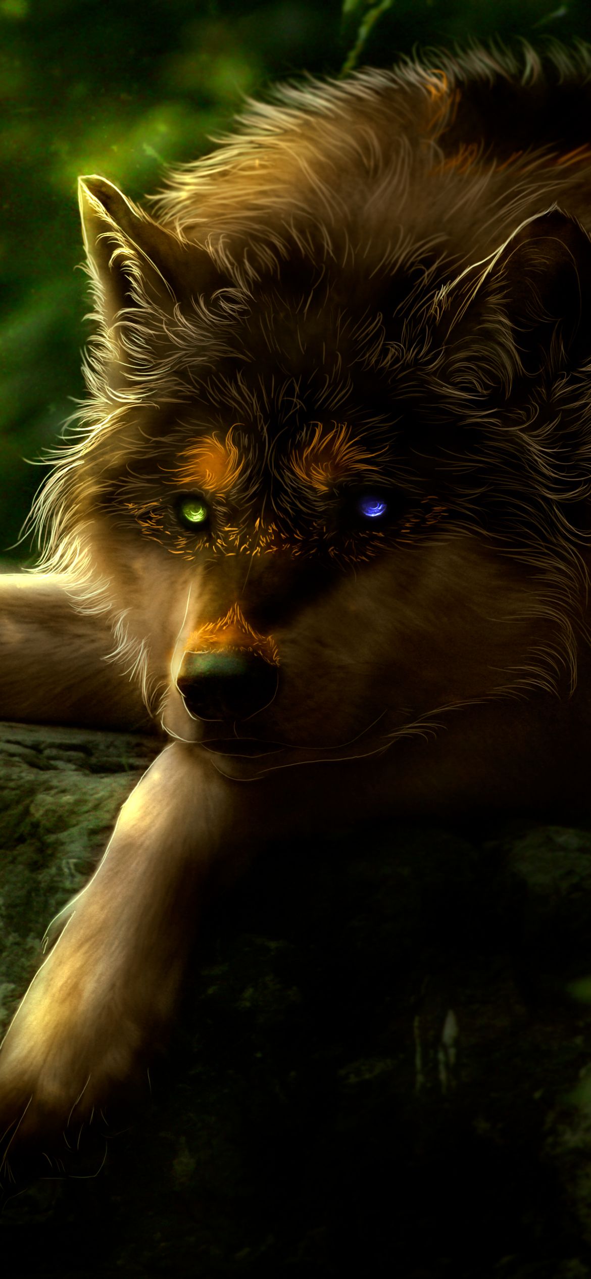 Descarga gratuita de fondo de pantalla para móvil de Animales, Lobo, Heterocromía, Wolves.