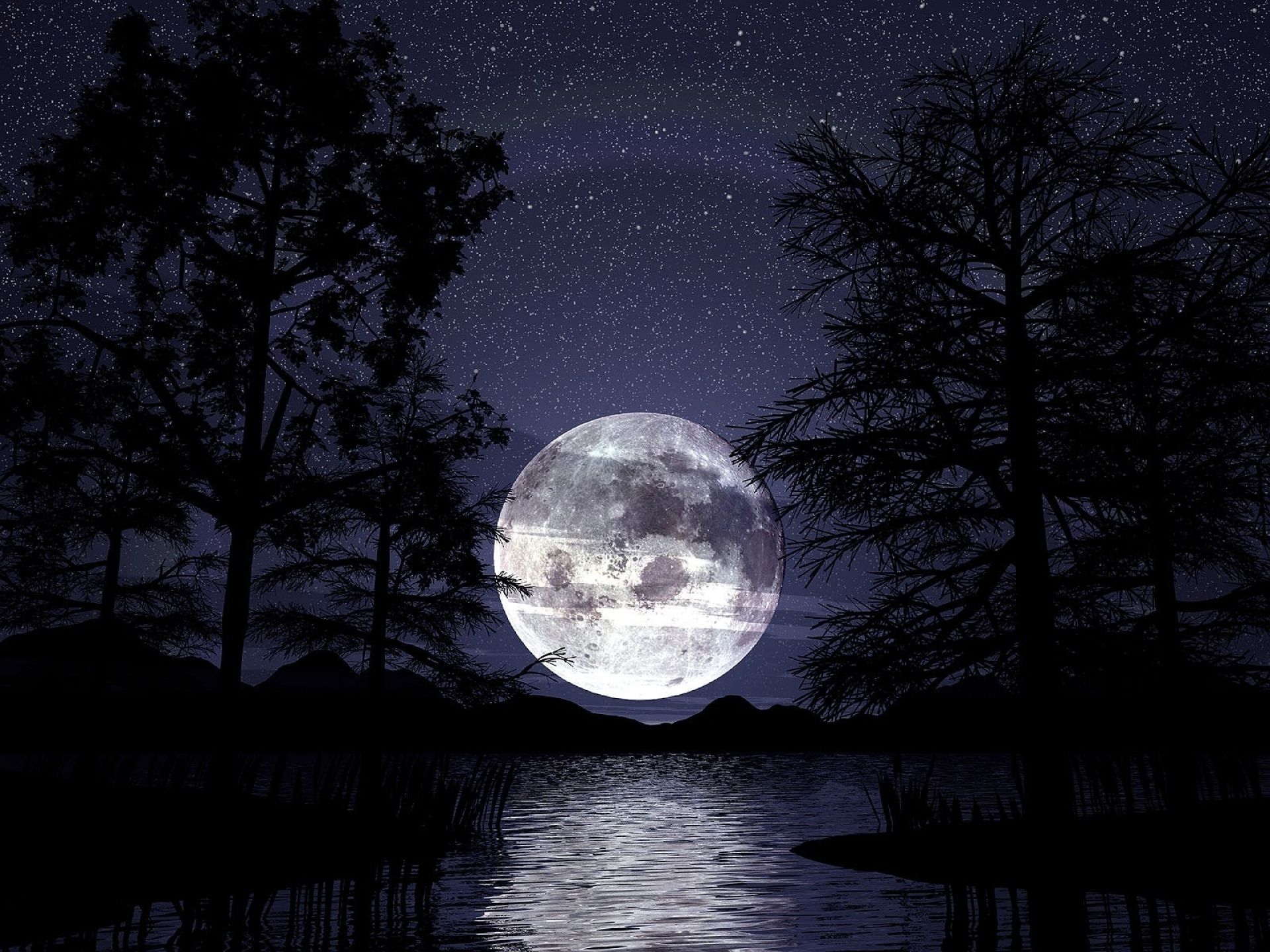 Download mobile wallpaper Sky, Night, Moon, Lake, Silhouette, Tree, Artistic for free.