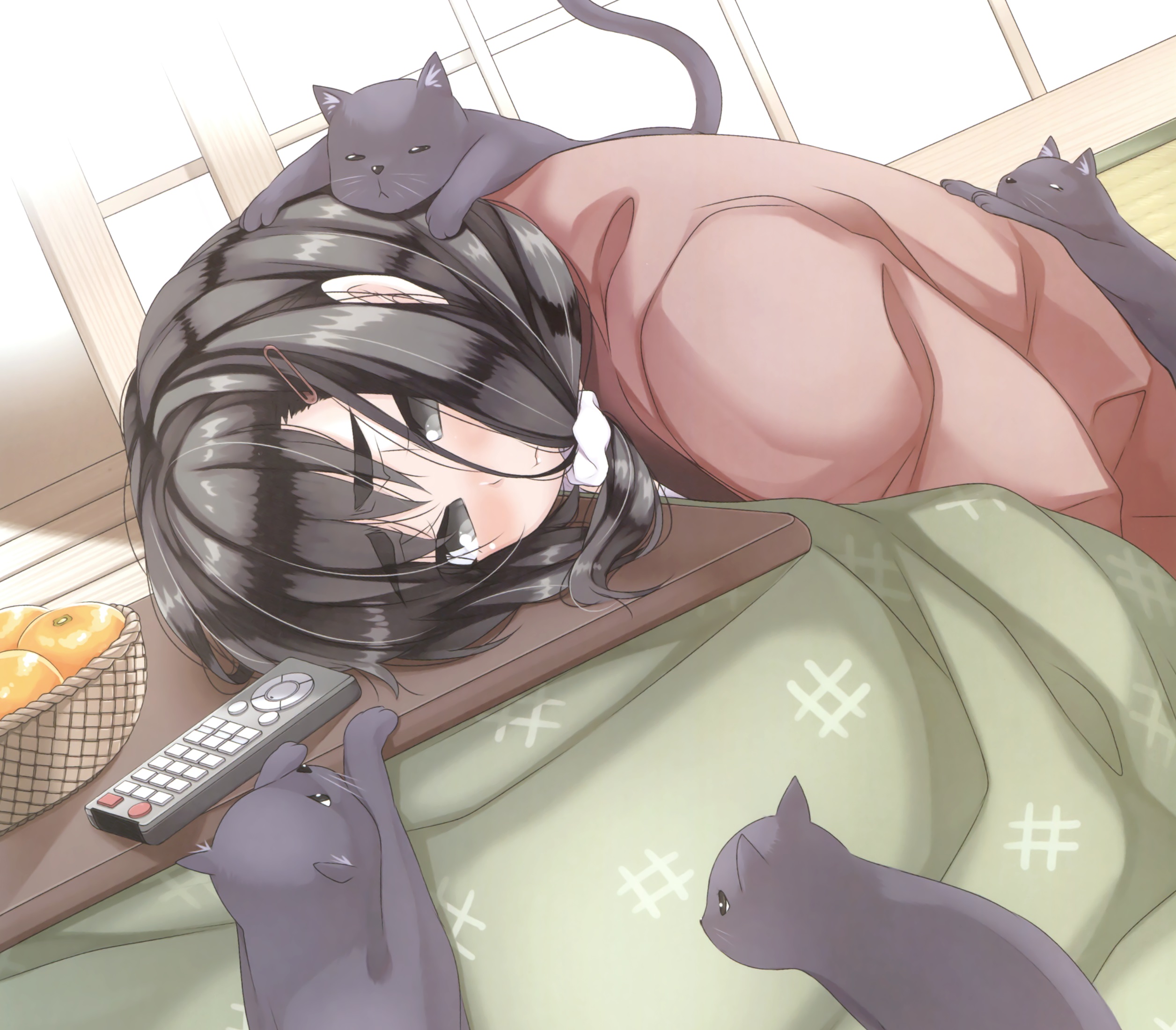 Download mobile wallpaper Anime, Cat, Original, Blush, Black Hair, Long Hair, Orange (Color), Grey Eyes for free.