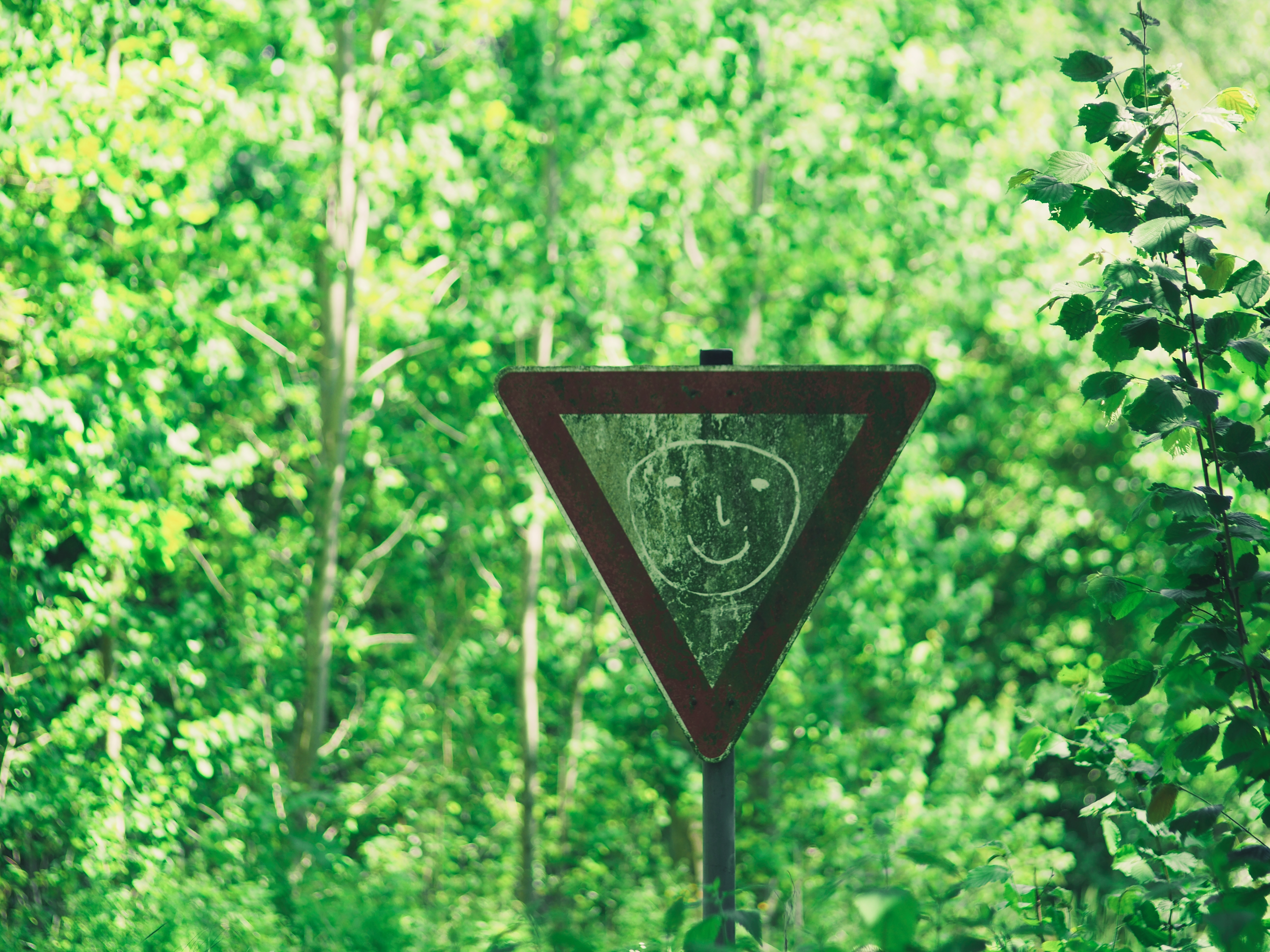Download mobile wallpaper Miscellaneous, Miscellanea, Forest, Trees, Sign, Picture, Drawing, Face, Smile for free.