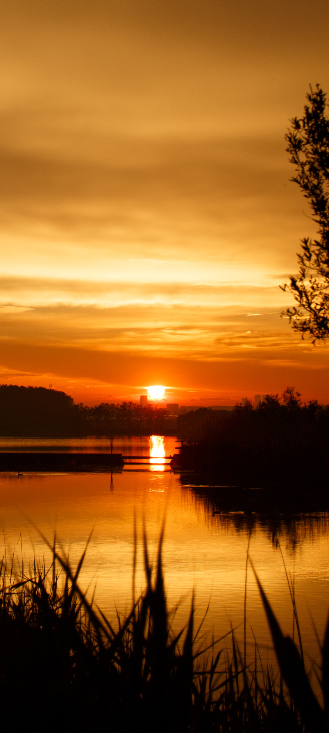 Téléchargez des papiers peints mobile Coucher De Soleil, Lac, Des Lacs, Terre/nature, Le Coucher Du Soleil gratuitement.