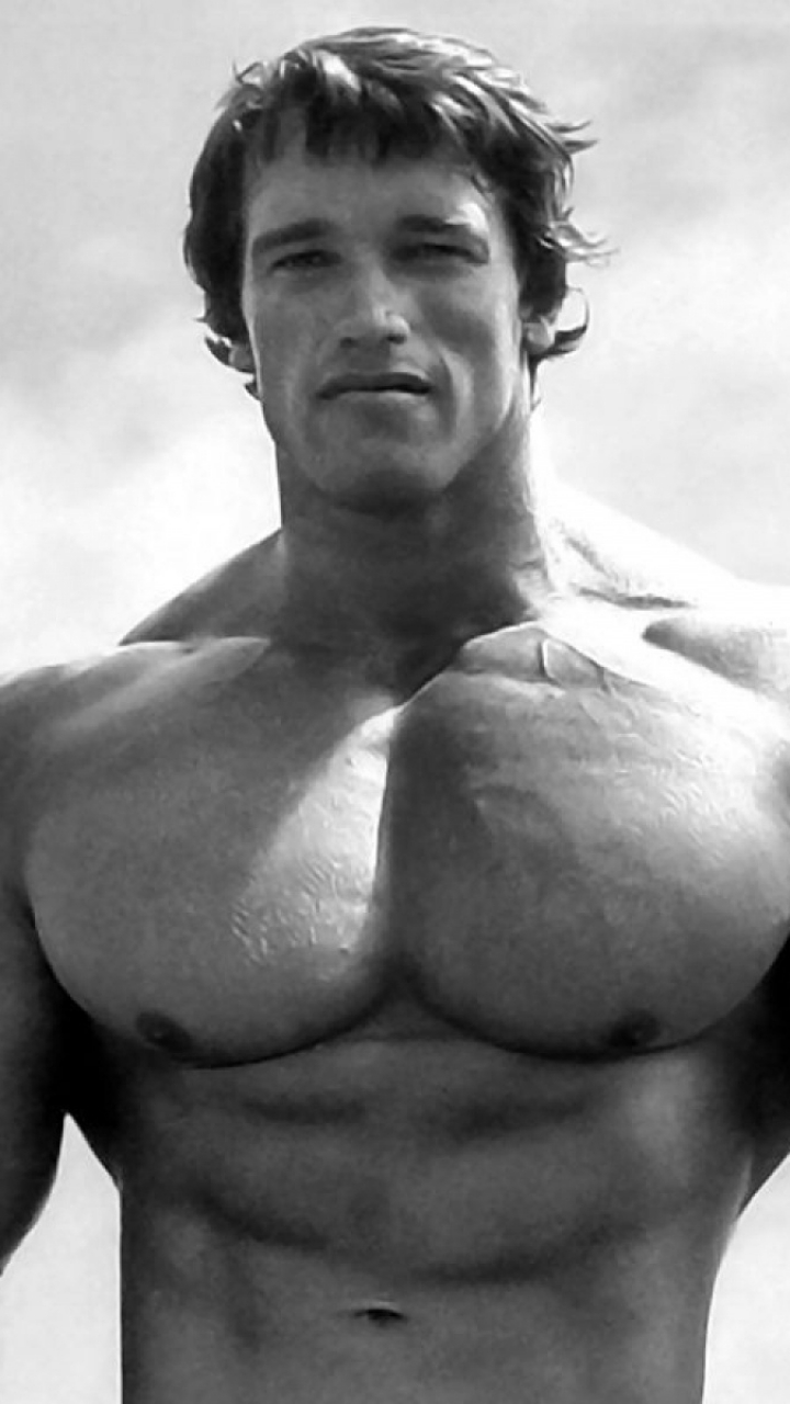 Baixar papel de parede para celular de Arnold Schwarzenegger, Celebridade gratuito.