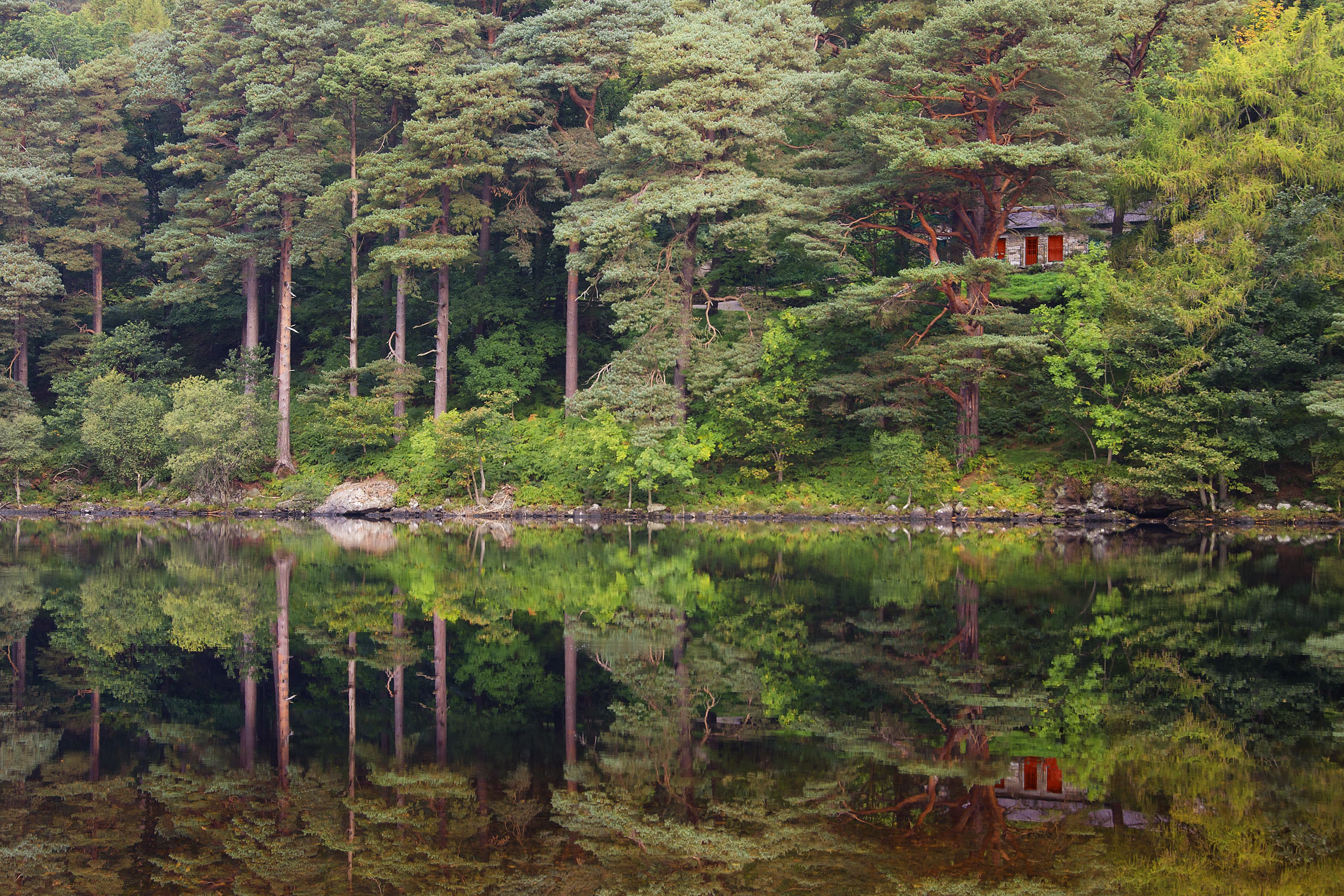 Laden Sie das Wasser, See, Baum, Hütte, Fotografie, Spiegelung-Bild kostenlos auf Ihren PC-Desktop herunter