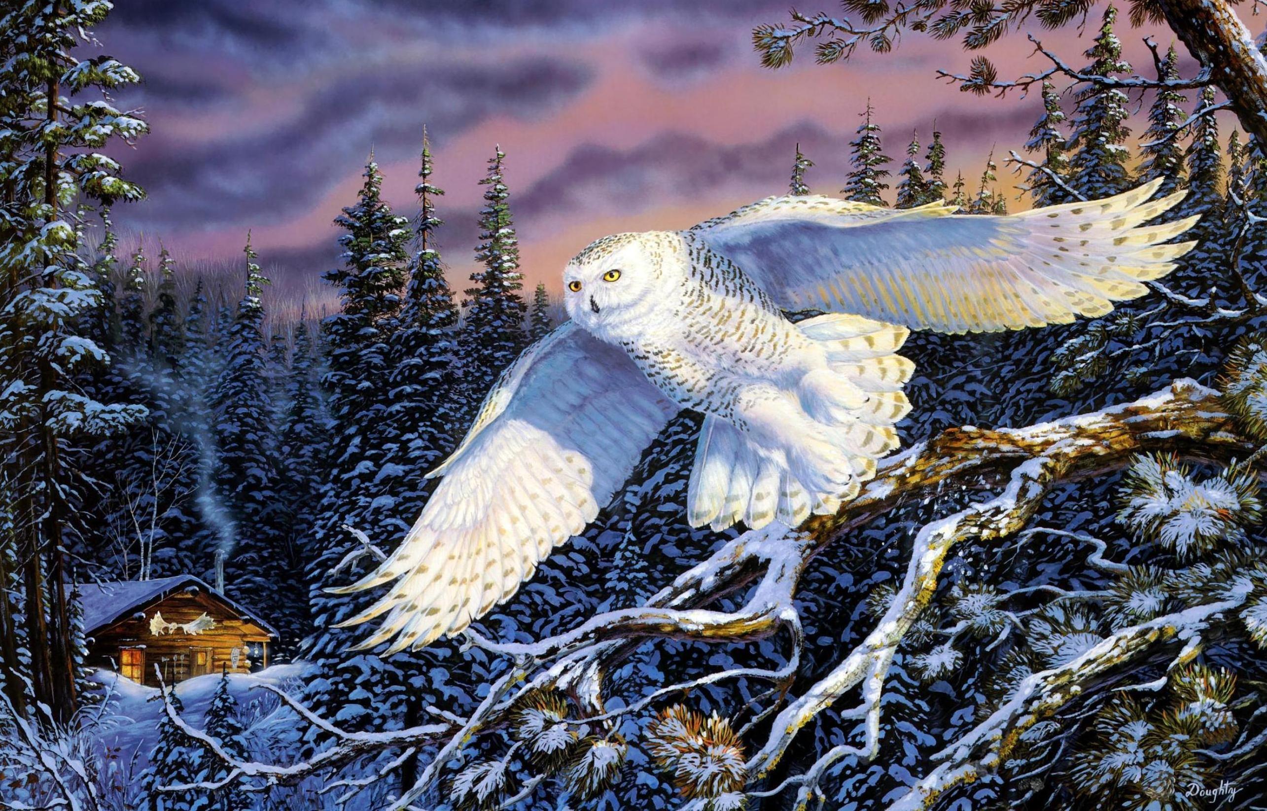 256557 baixar papel de parede coruja das neves, animais, aves - protetores de tela e imagens gratuitamente