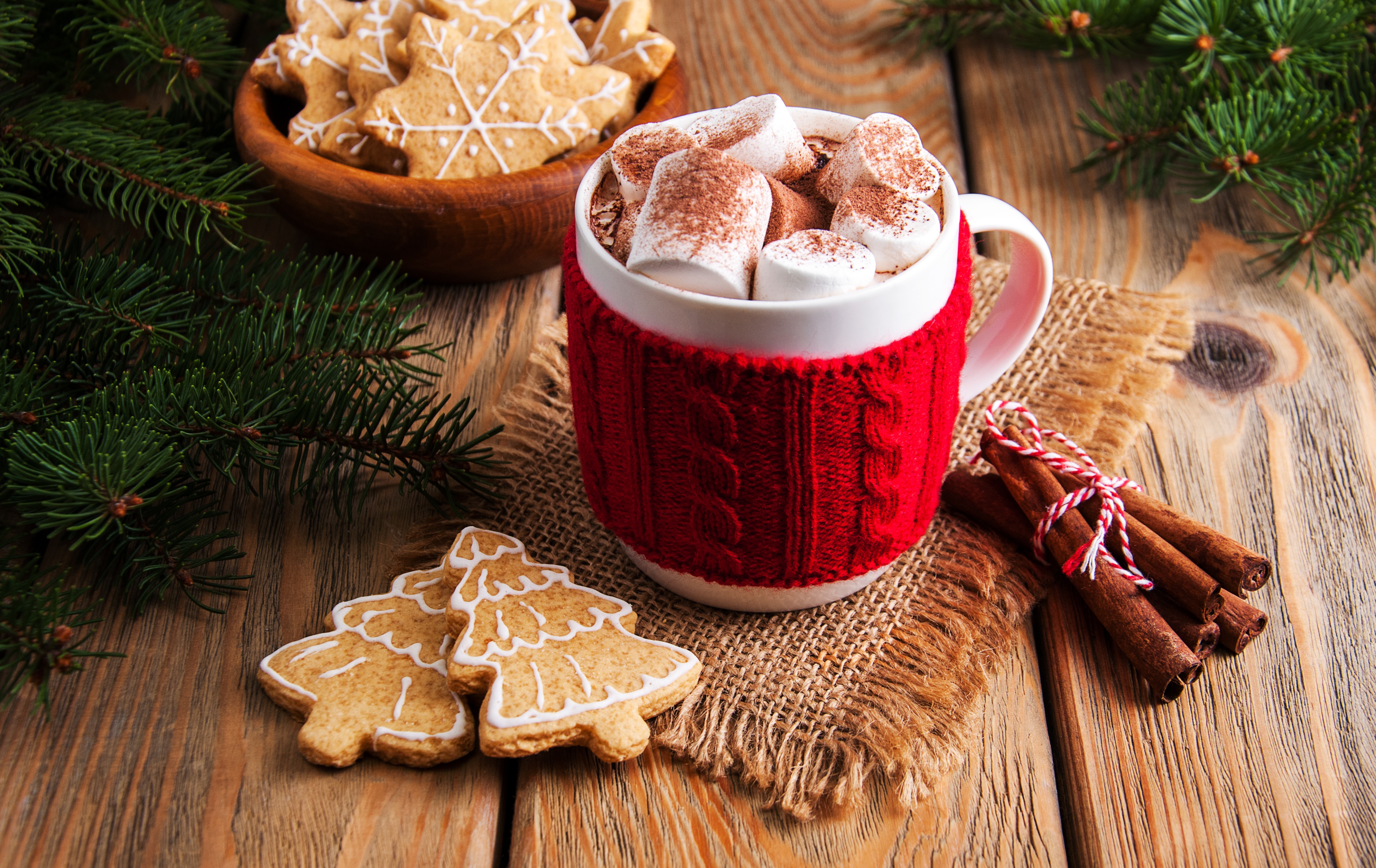 Download mobile wallpaper Food, Cinnamon, Cup, Christmas, Marshmallow, Cookie, Hot Chocolate for free.